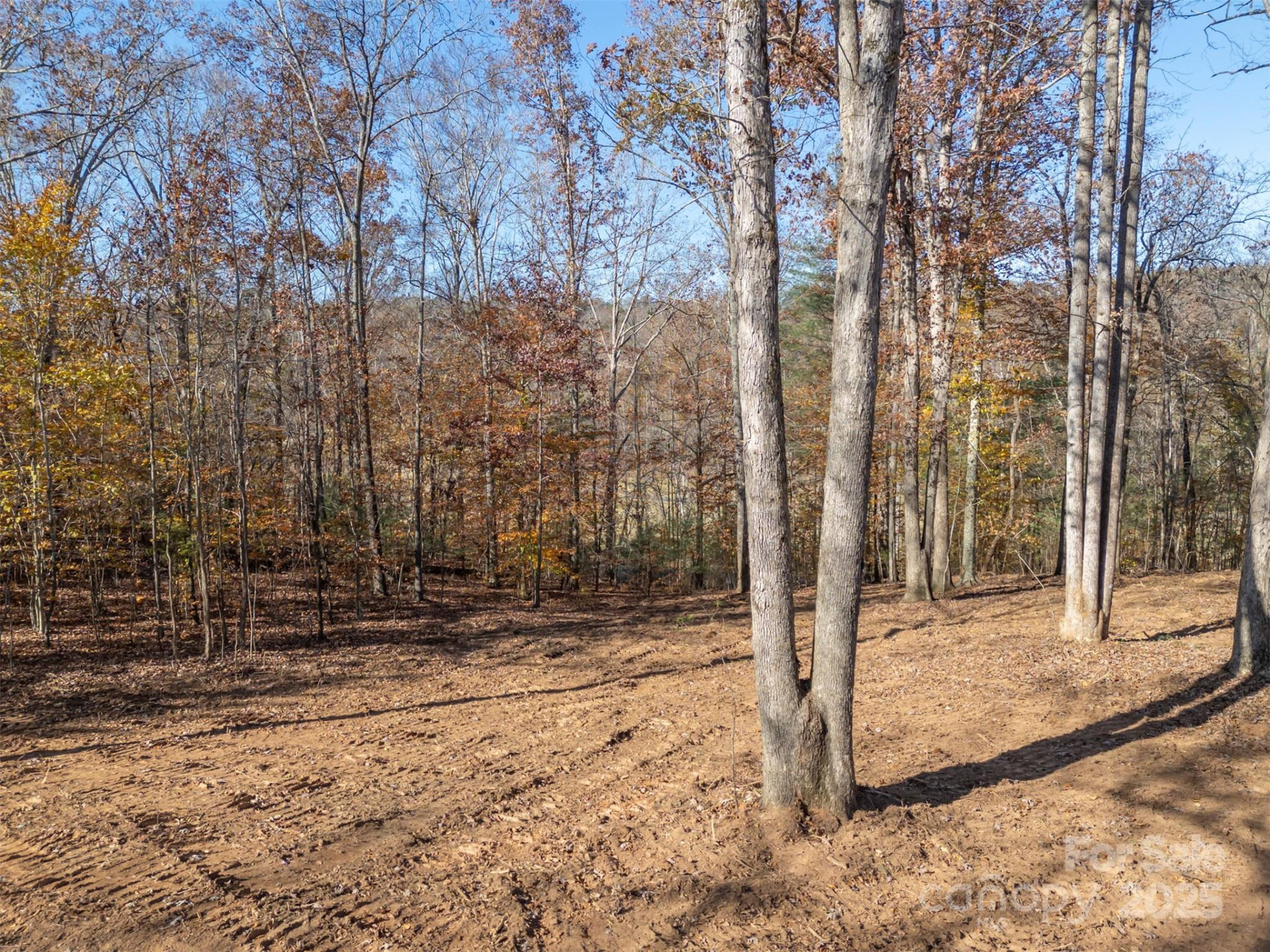 145 Stroud Mountain Trail #85 - Photo 6