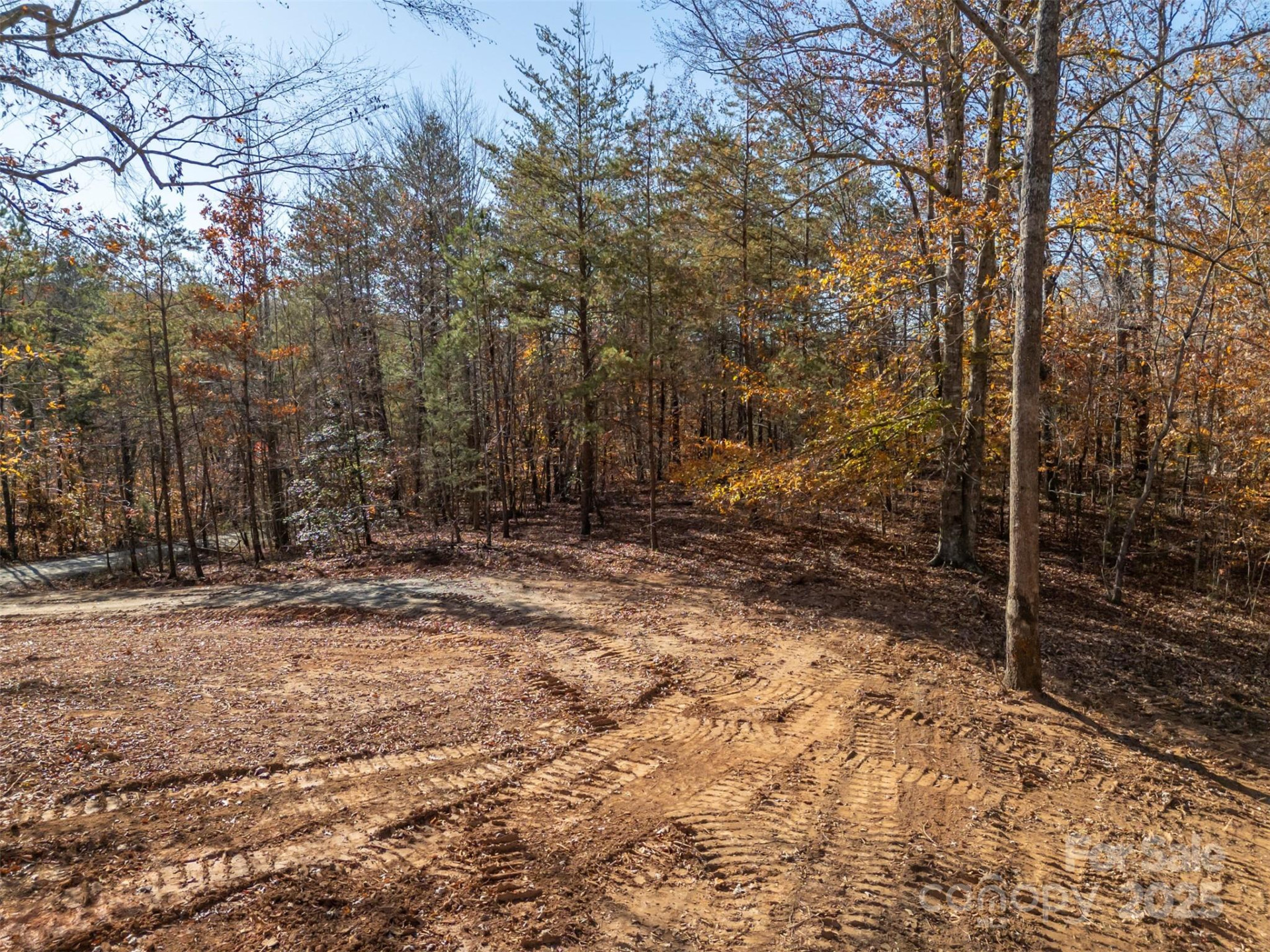 145 Stroud Mountain Trail #85 - Photo 8