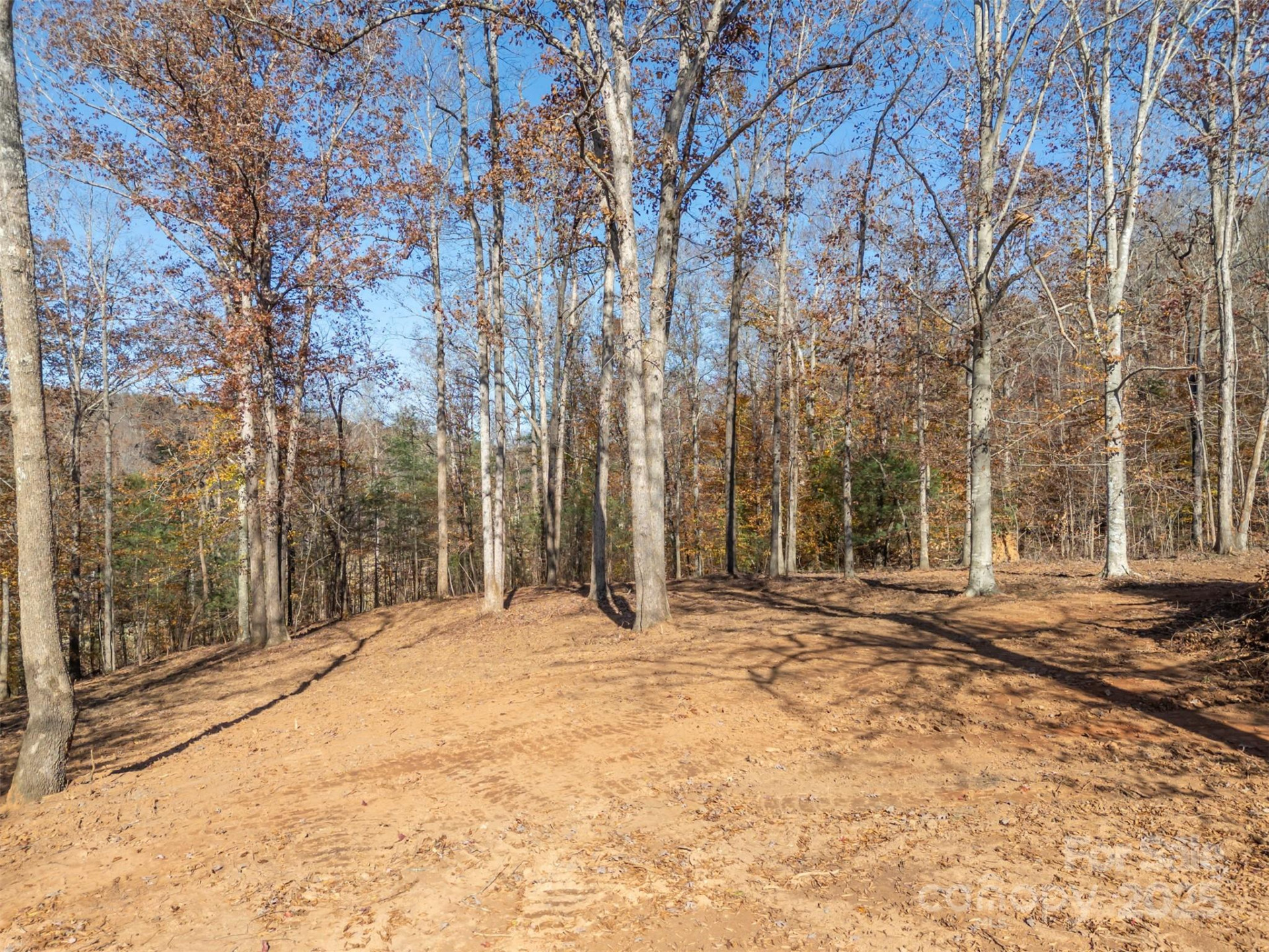 145 Stroud Mountain Trail #85 - Photo 9