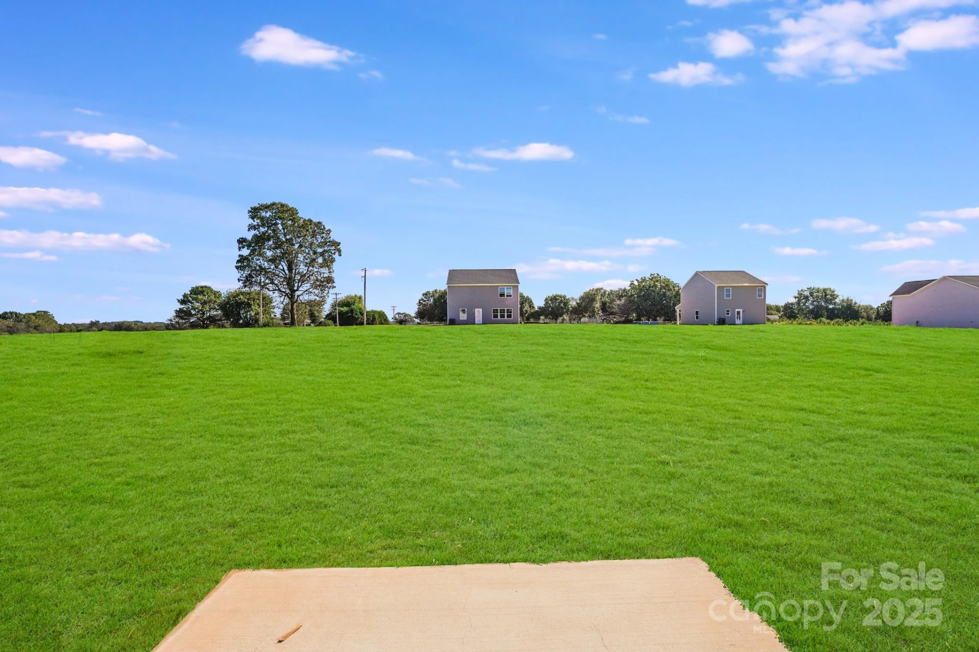 103 Red Cedar Lane - Photo 34