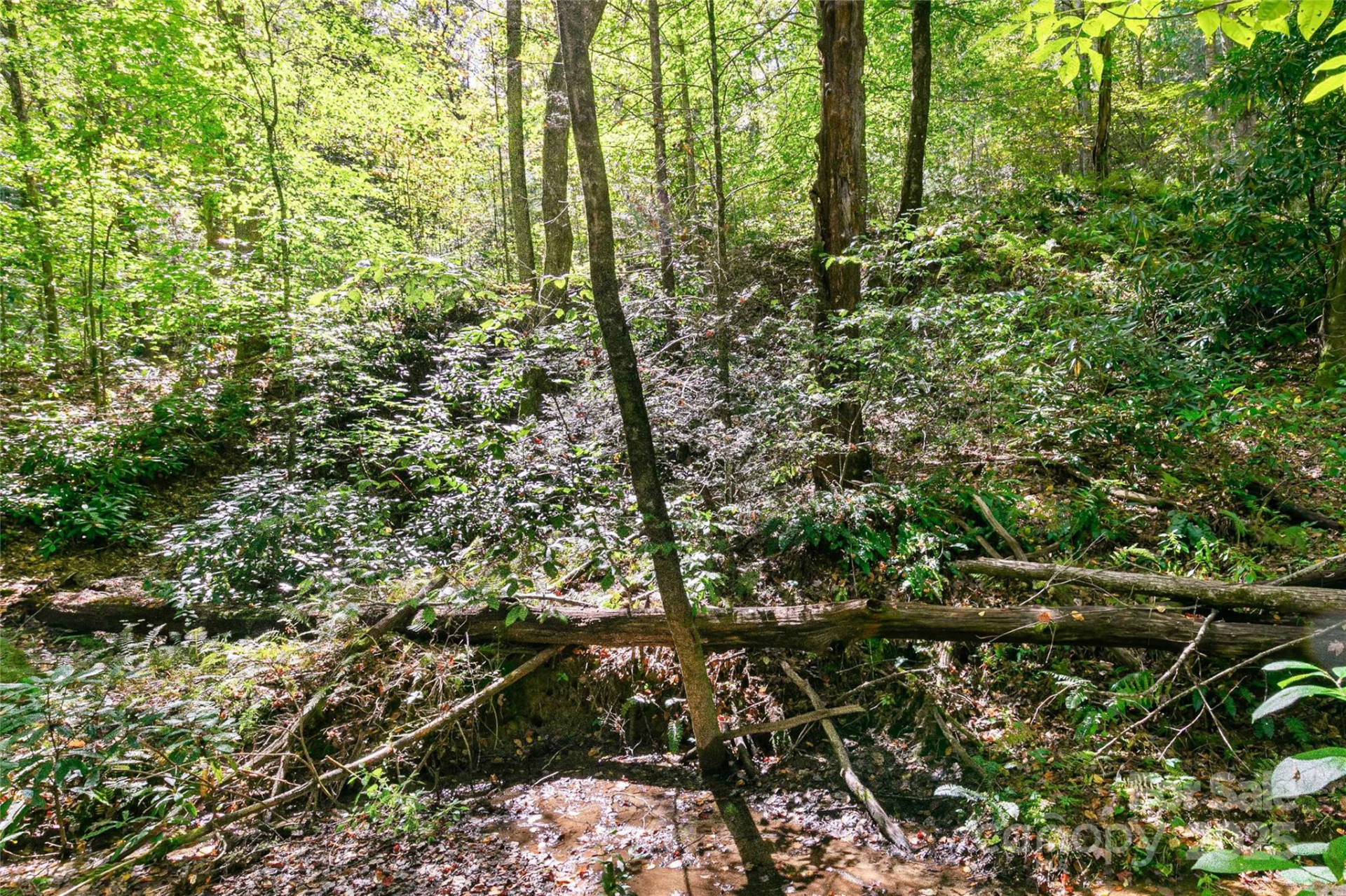 14 Johnny Farm Road - Photo 11