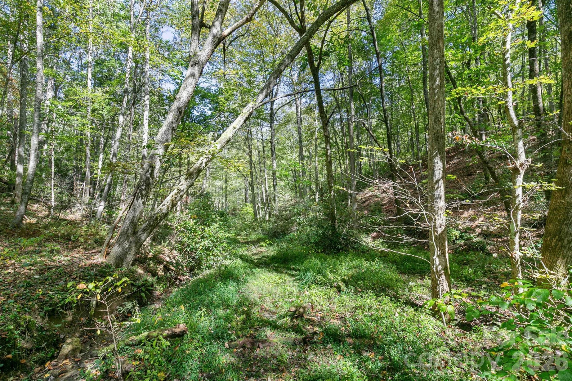14 Johnny Farm Road - Photo 21