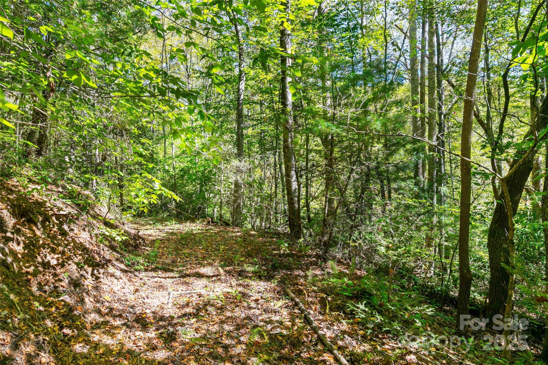 14 Johnny Farm Road - Photo 6