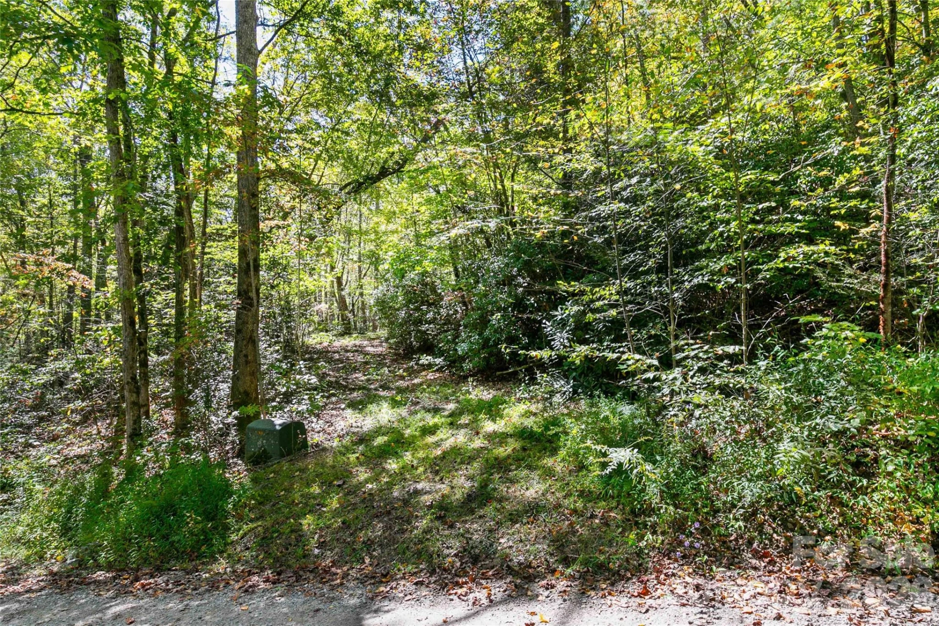 14 Johnny Farm Road - Photo 13