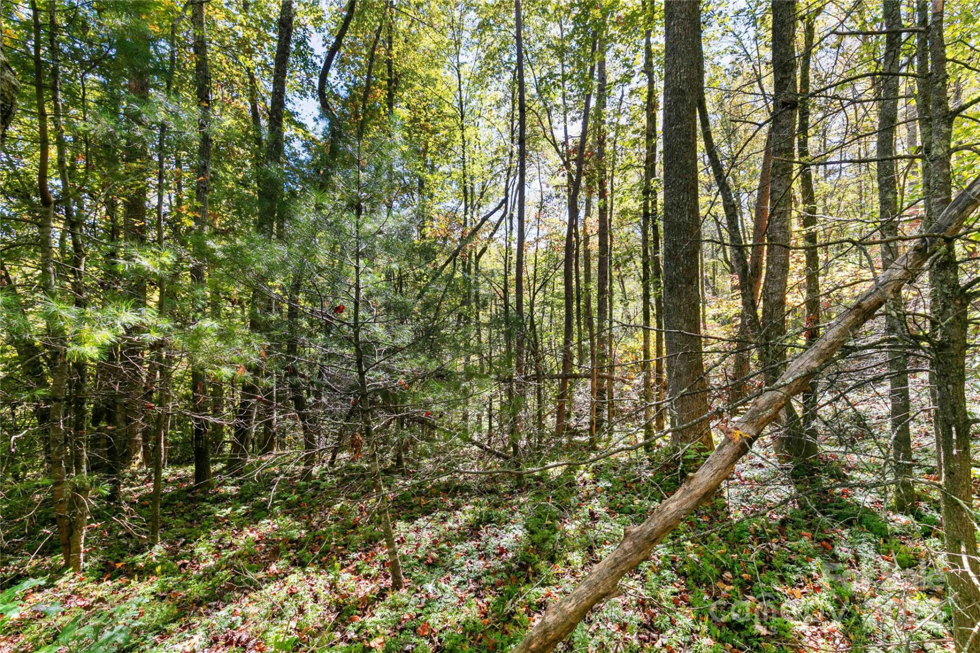 14 Johnny Farm Road - Photo 8