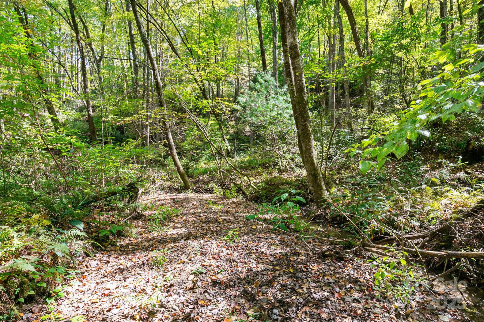 14 Johnny Farm Road - Photo 10