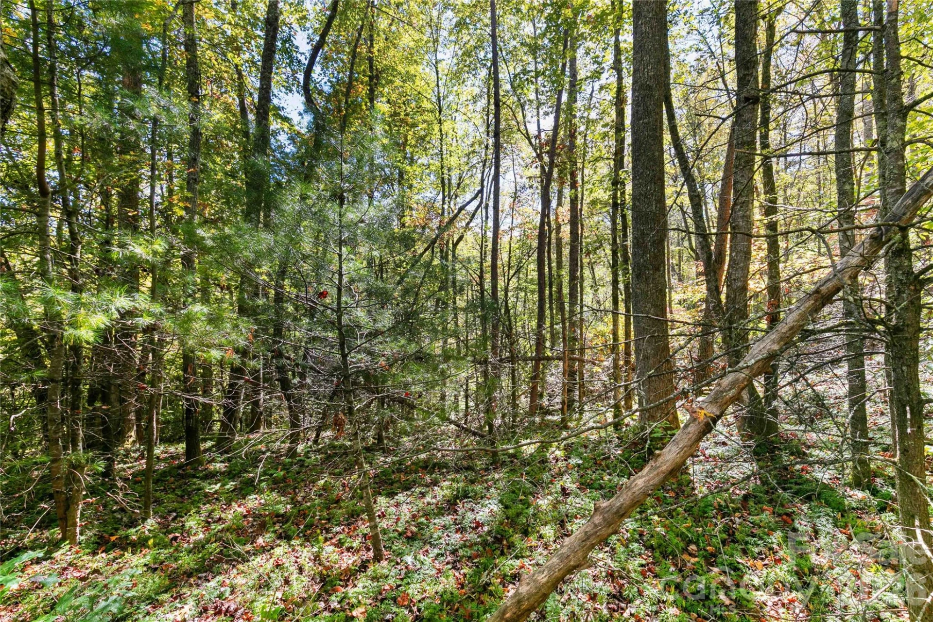 14 Johnny Farm Road - Photo 19