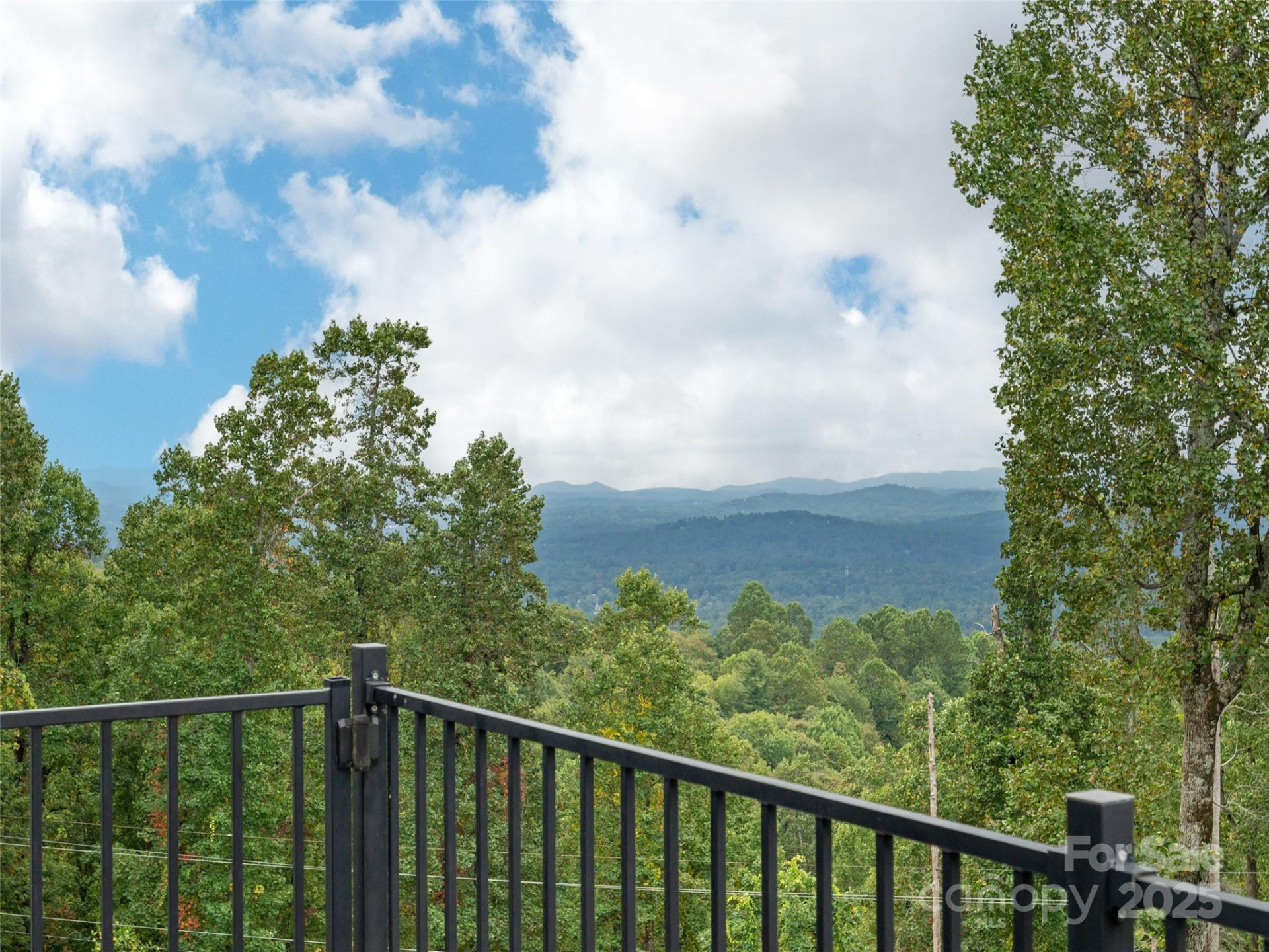 161 Birchwood Drive - Photo 34