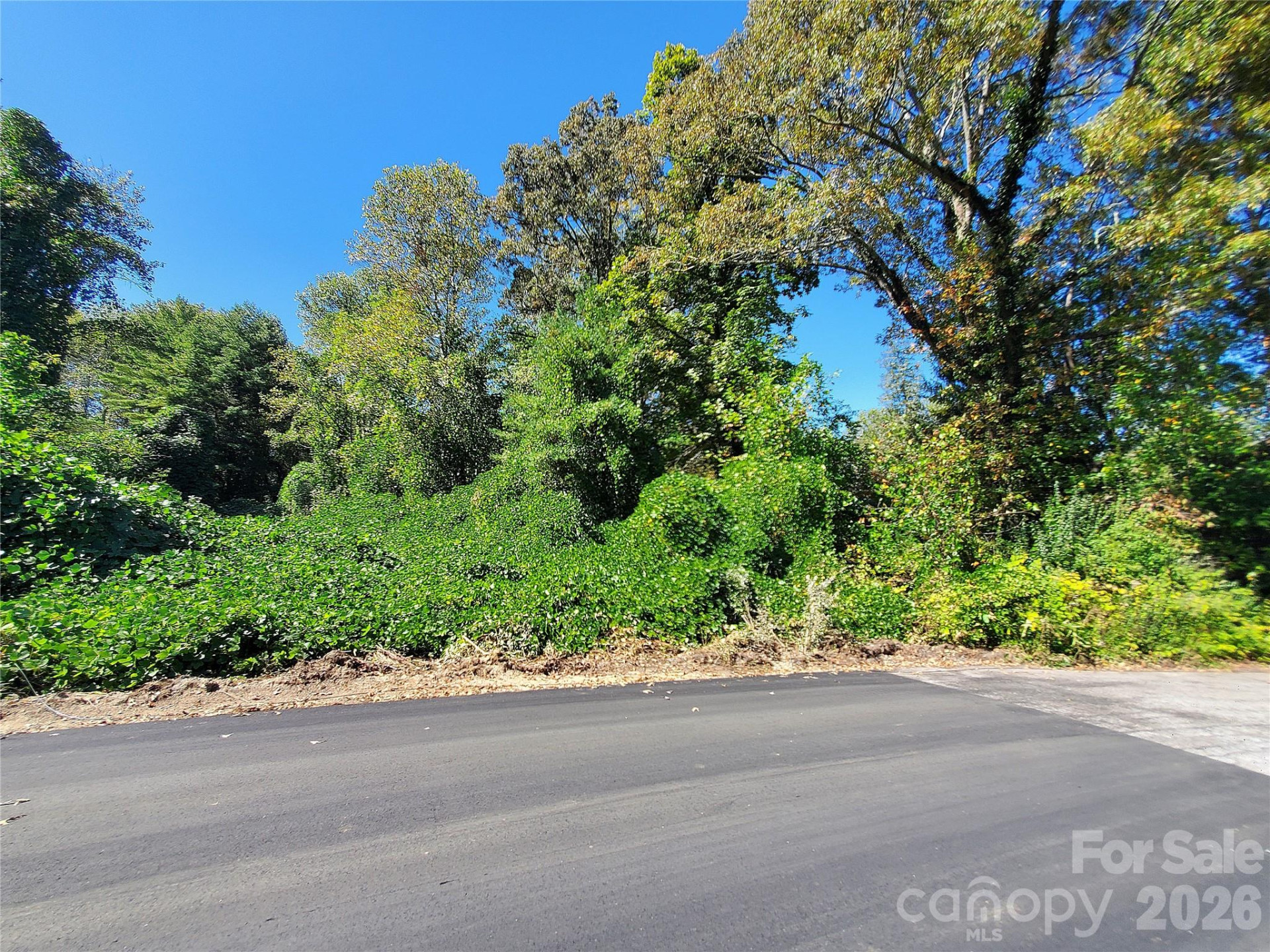 62 Oscelake Way - Photo 9