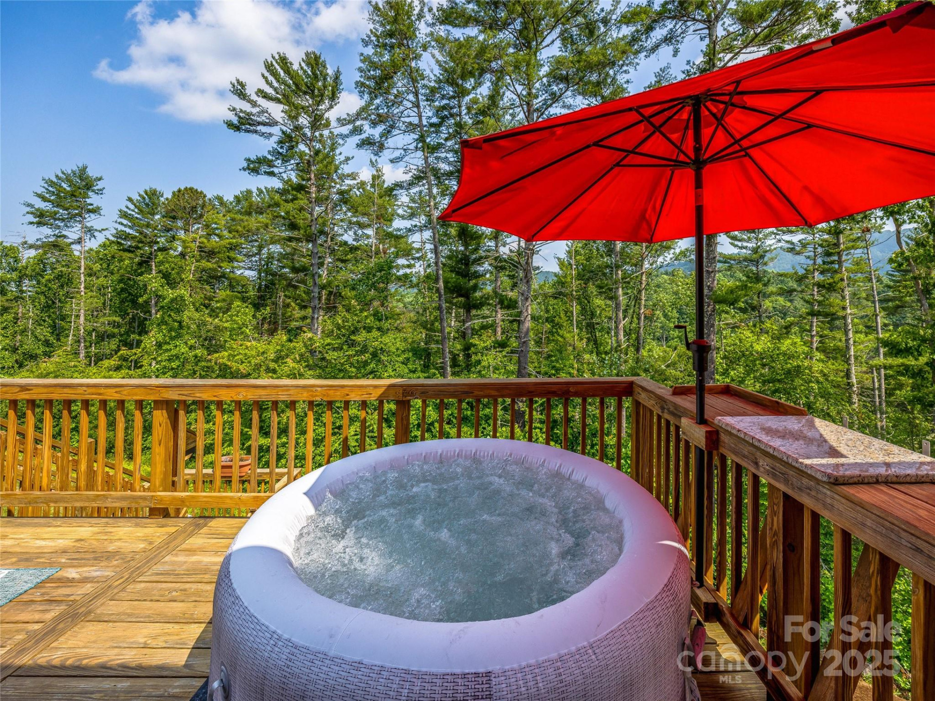 315 Wild Ginger Court - Photo 30