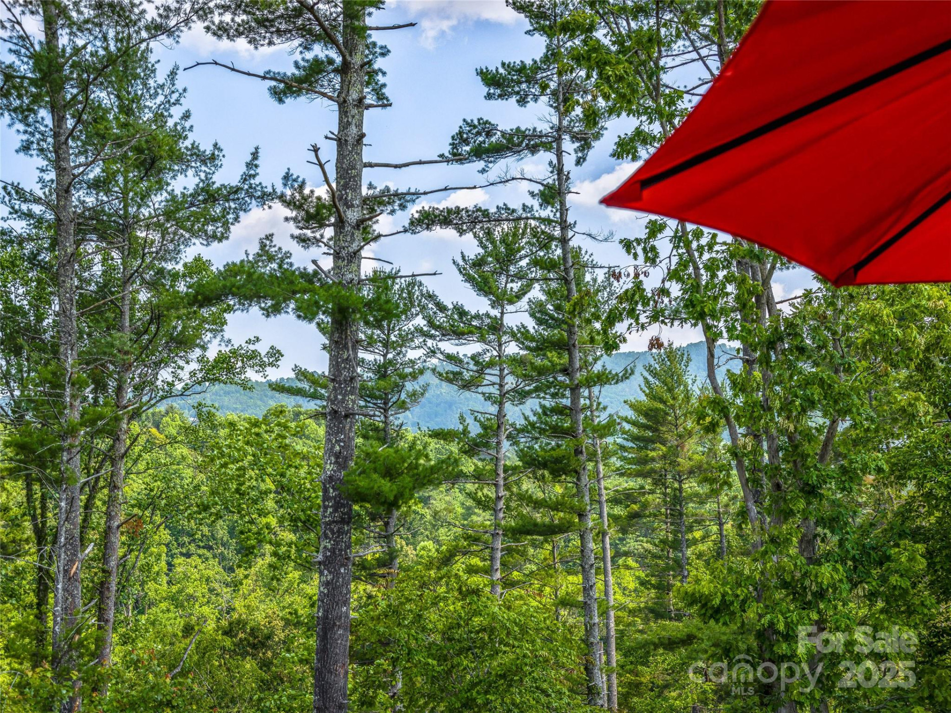 315 Wild Ginger Court - Photo 32