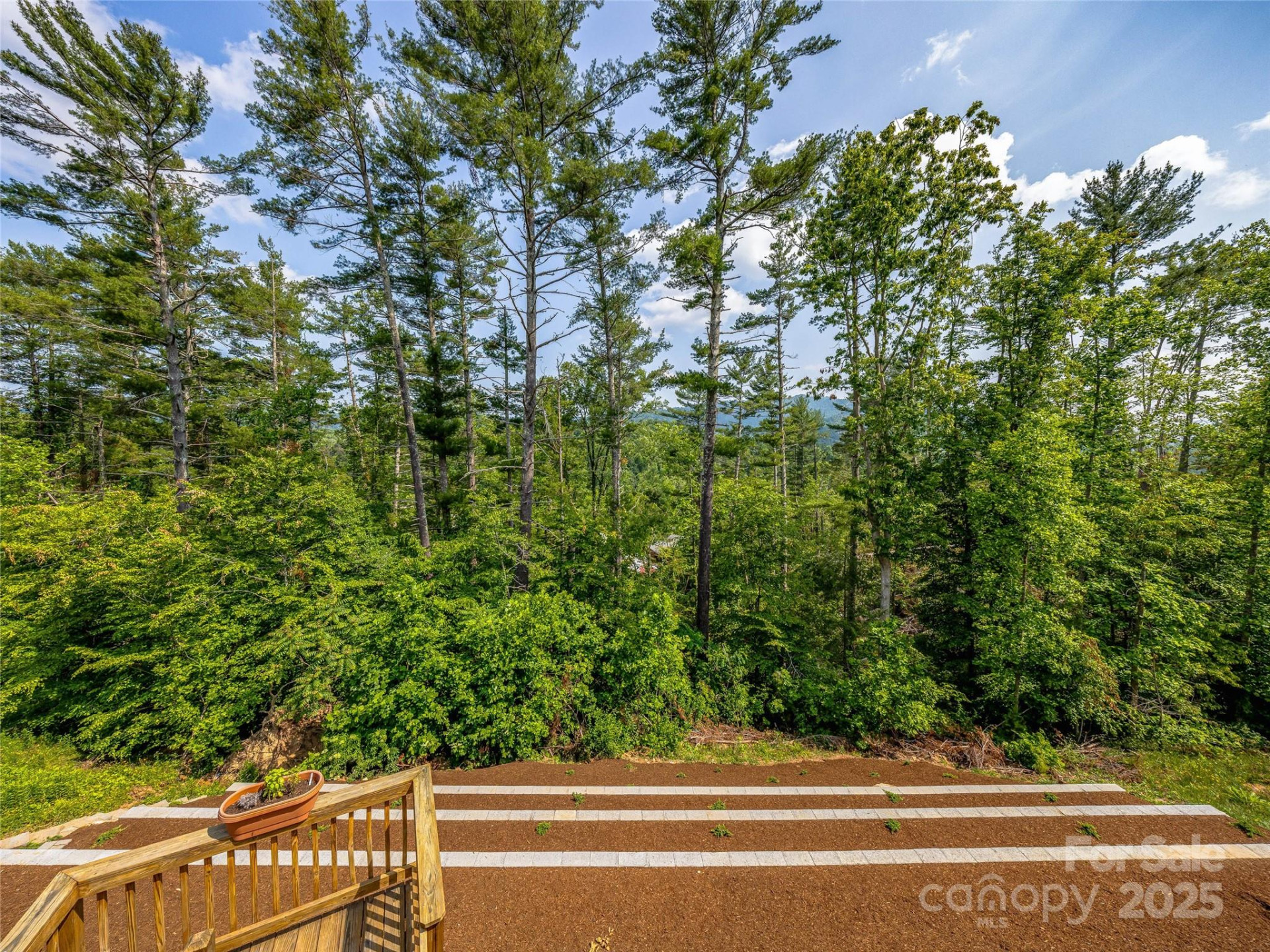 315 Wild Ginger Court - Photo 33