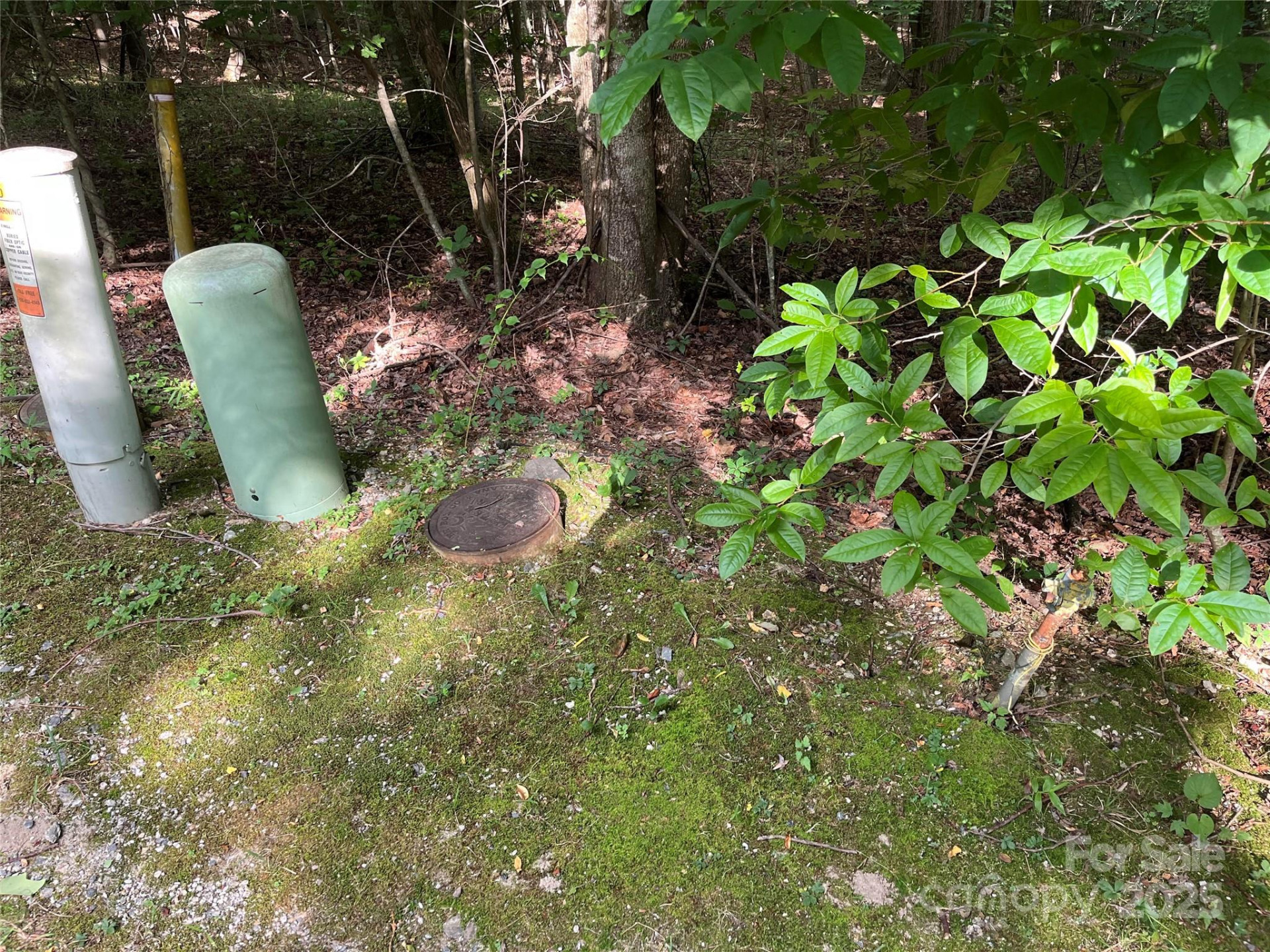 185 Ladys Fern Trail #8-G - Photo 2