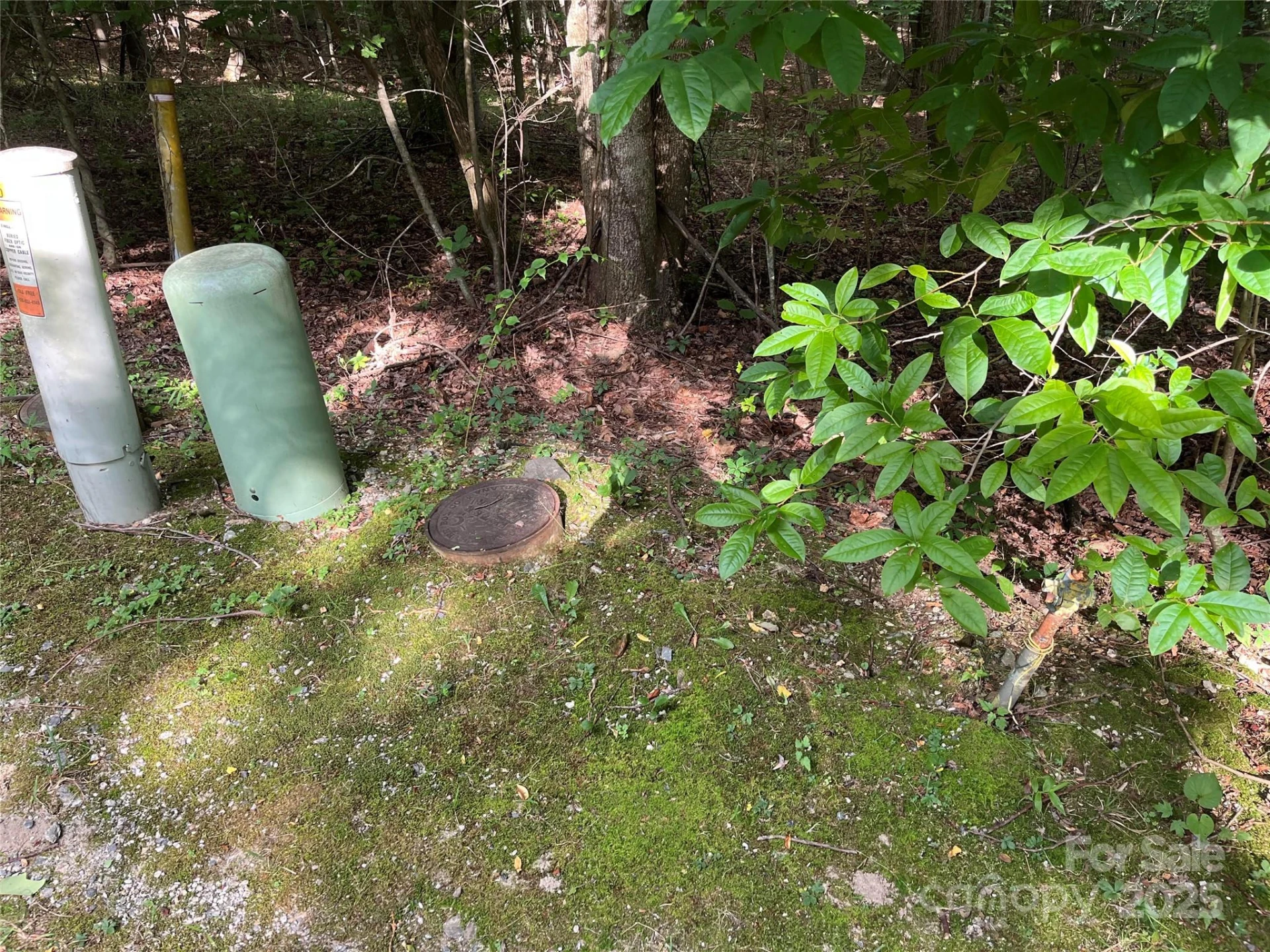 185 Ladys Fern Trail #8-G - Photo 2