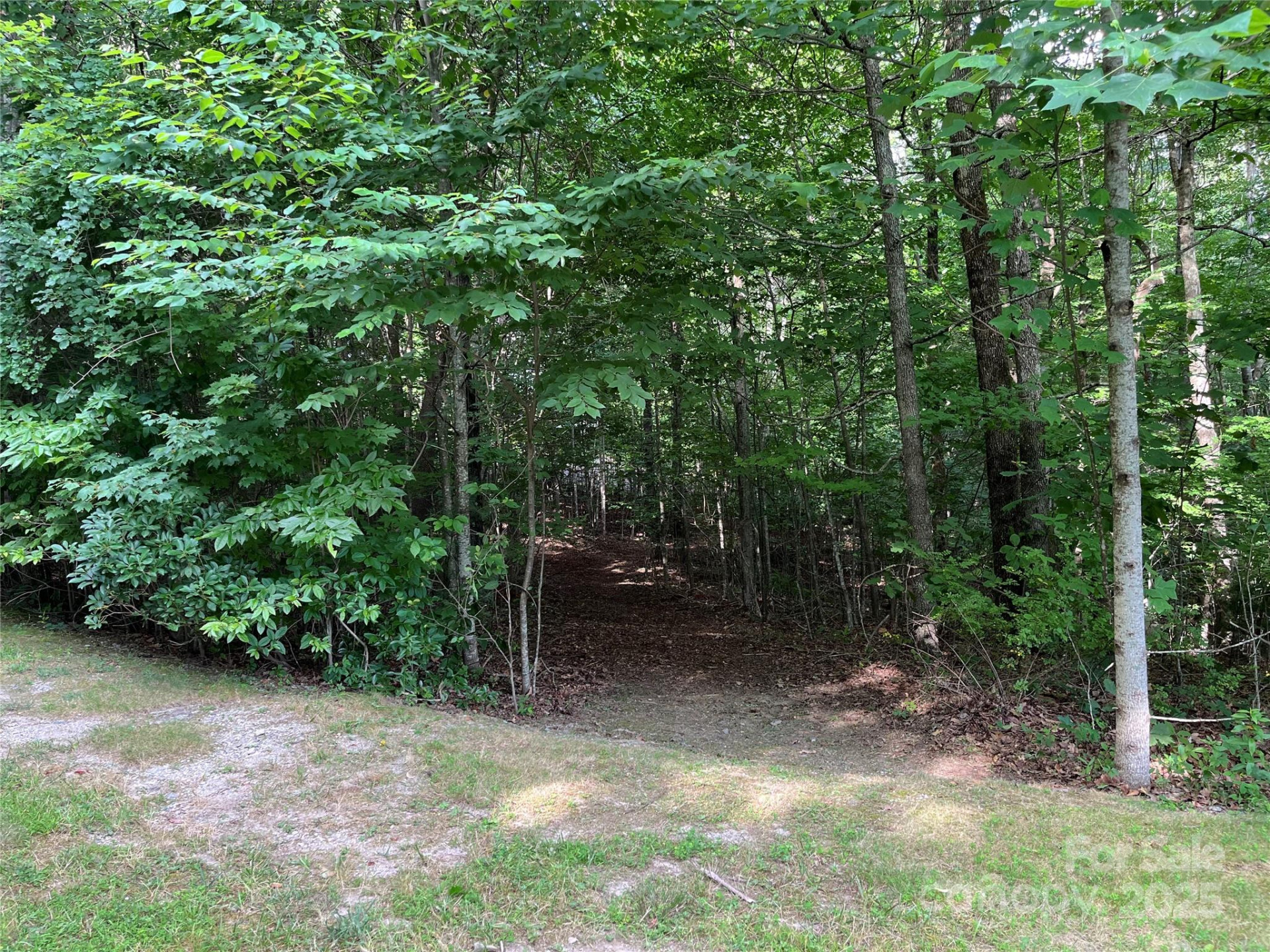 185 Ladys Fern Trail #8-G - Photo 3