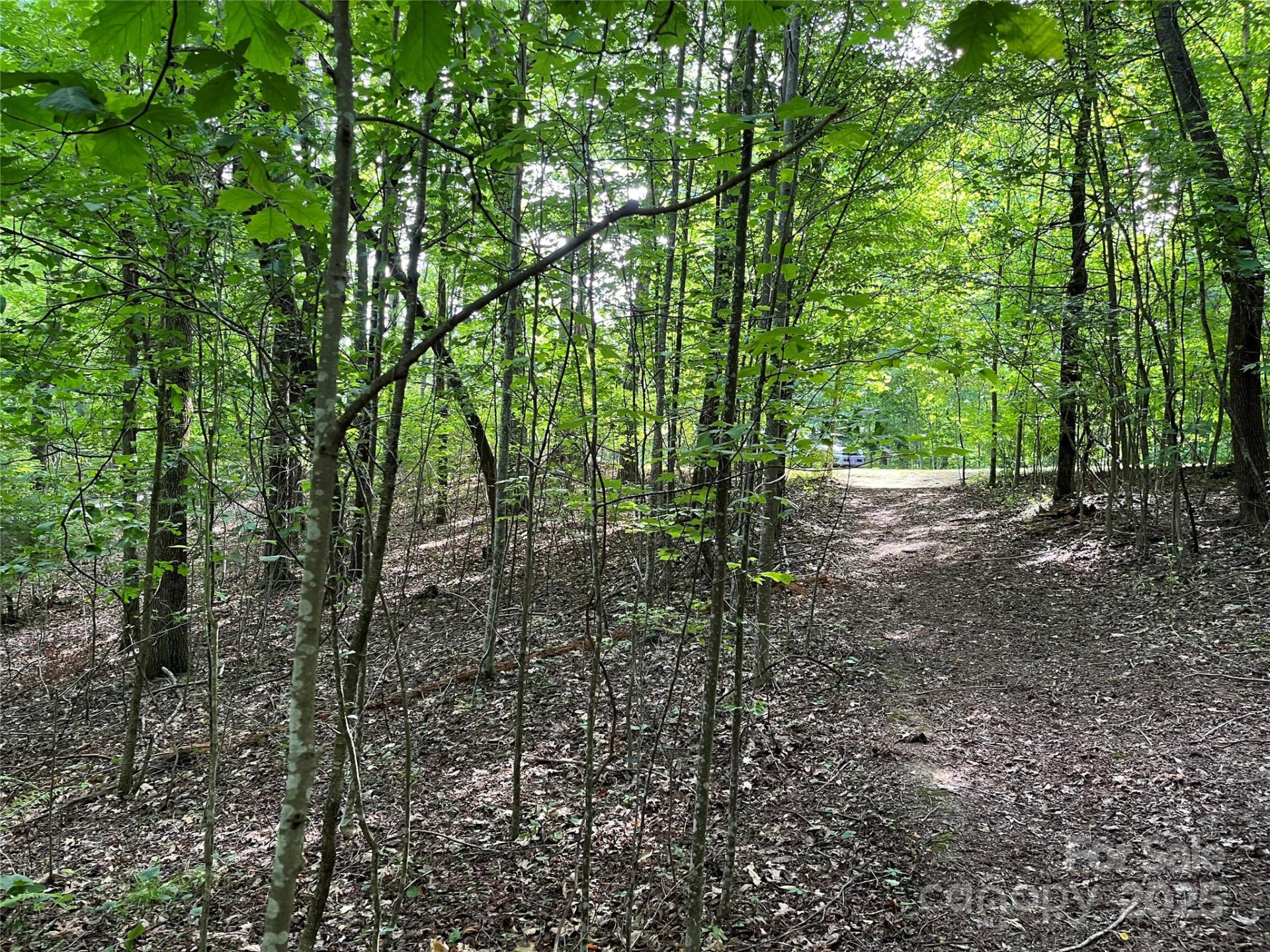 185 Ladys Fern Trail #8-G - Photo 4