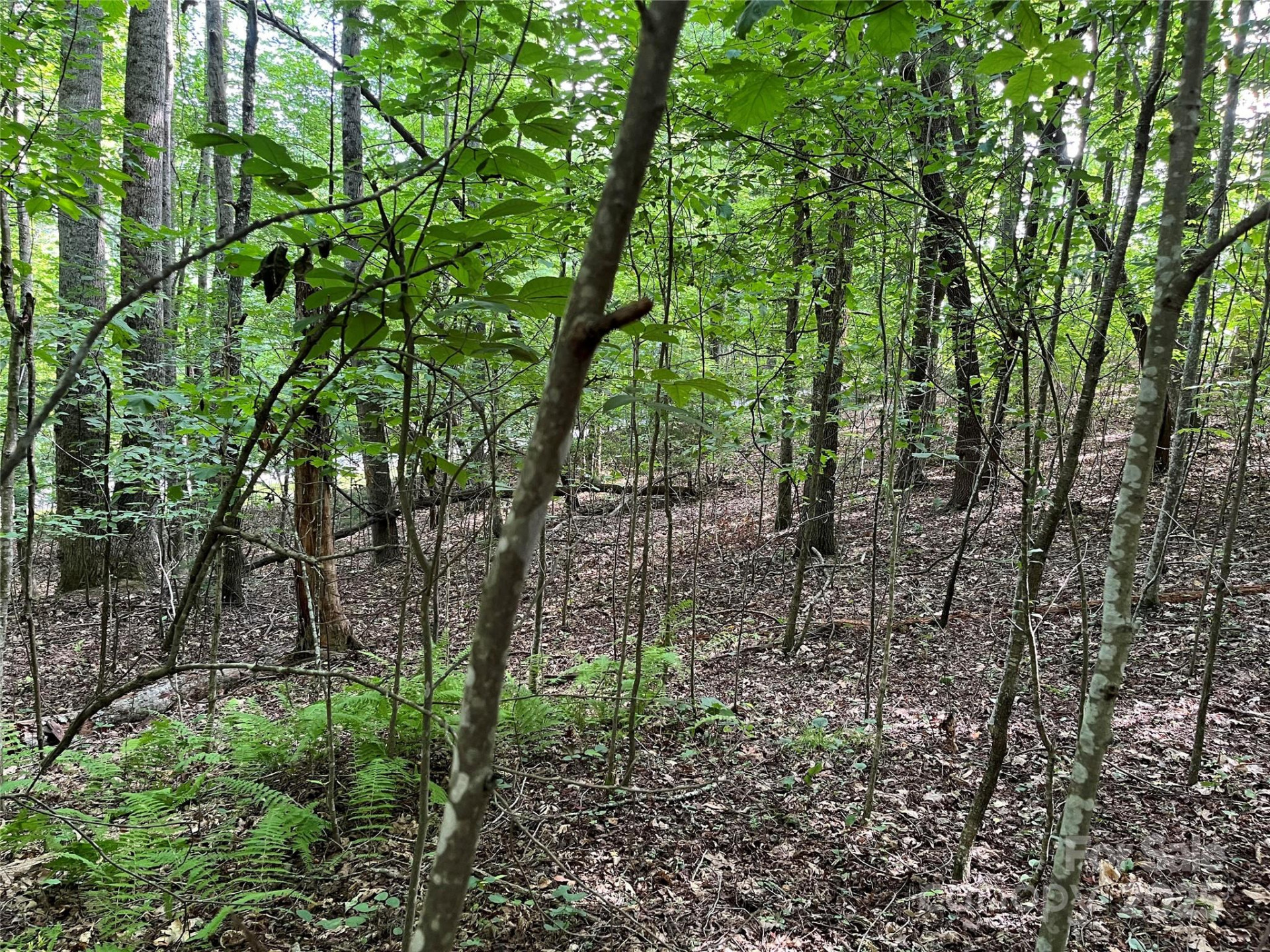 185 Ladys Fern Trail #8-G - Photo 5