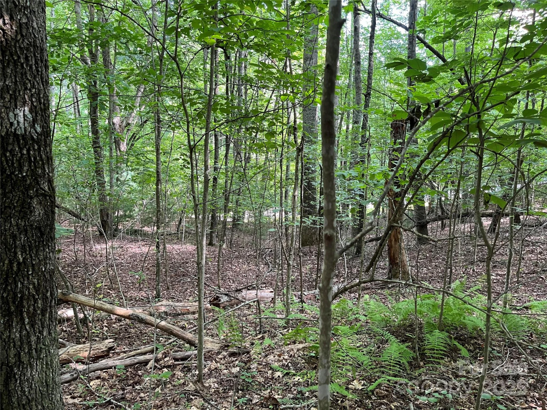 185 Ladys Fern Trail #8-G - Photo 6