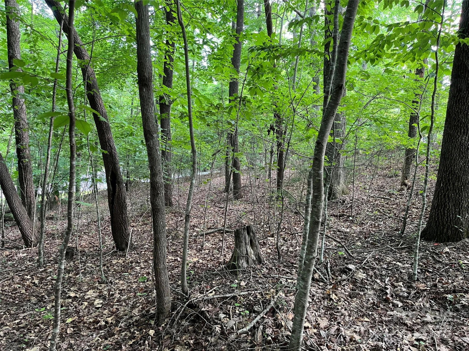 185 Ladys Fern Trail #8-G - Photo 7