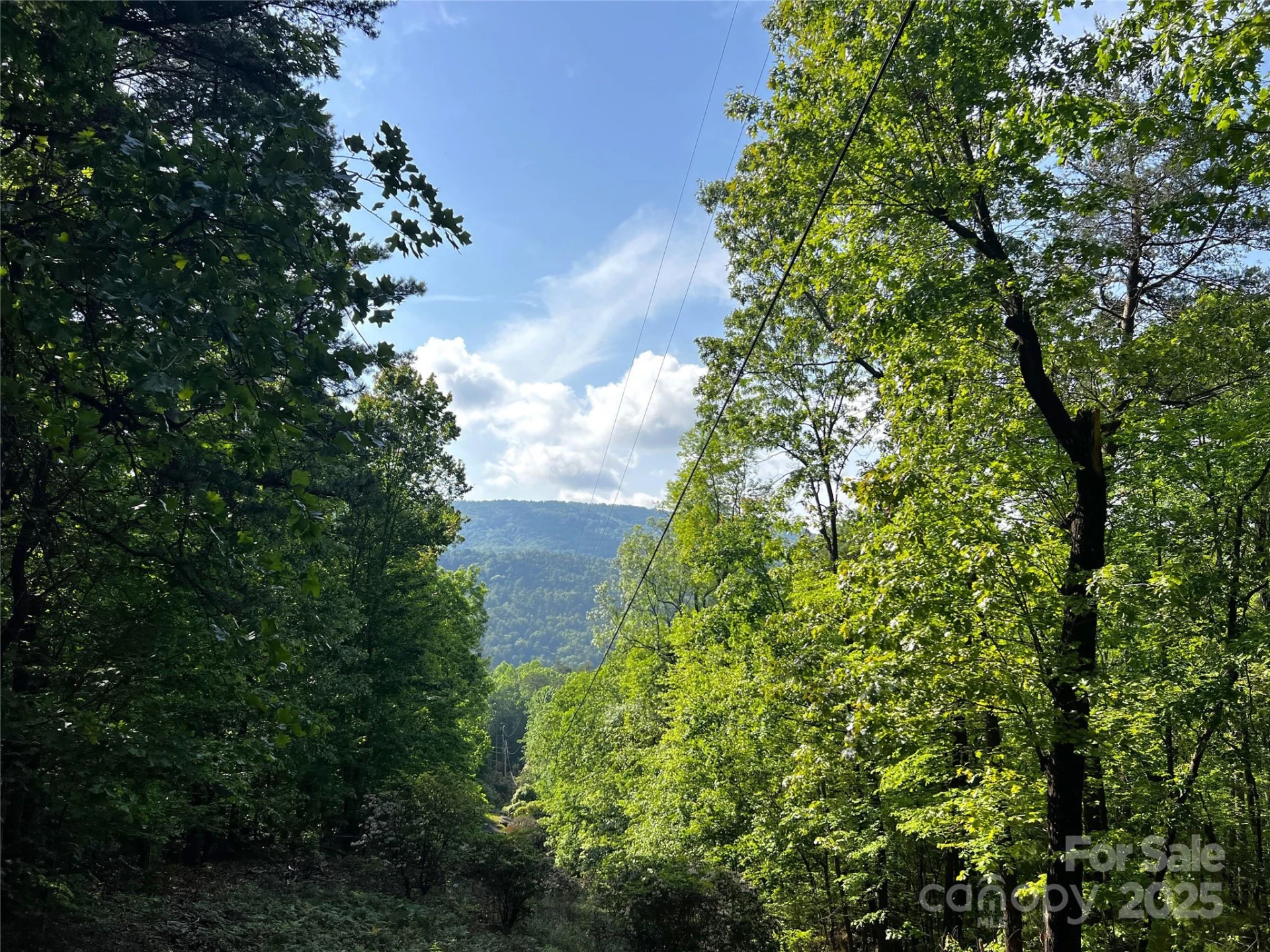 Lot 16 Arrowhead Ridge #16R