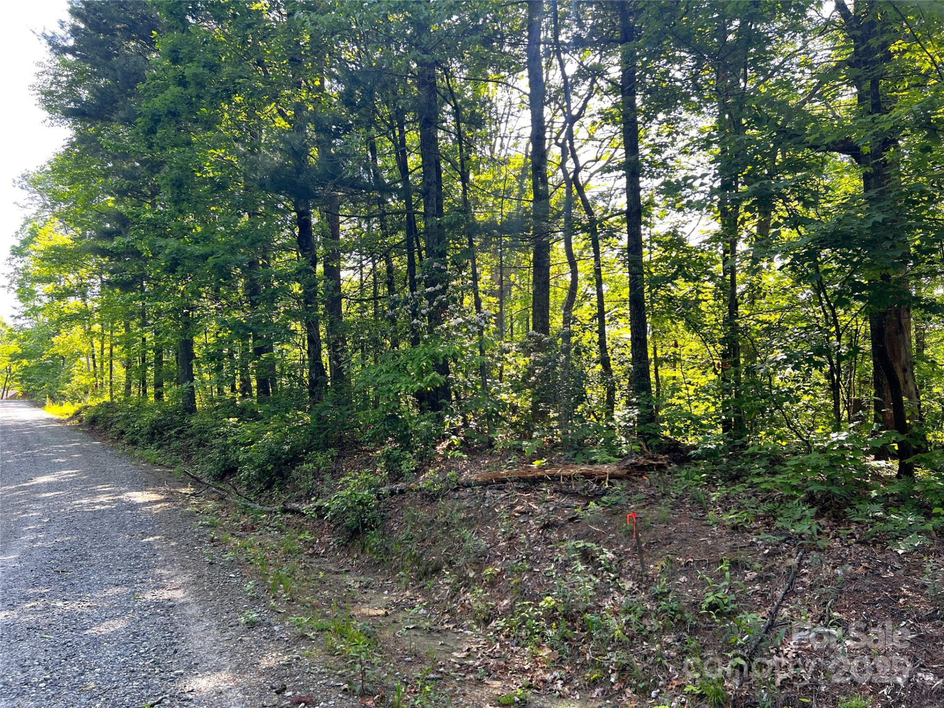 Lot 16 Arrowhead Ridge #16R - Photo 2