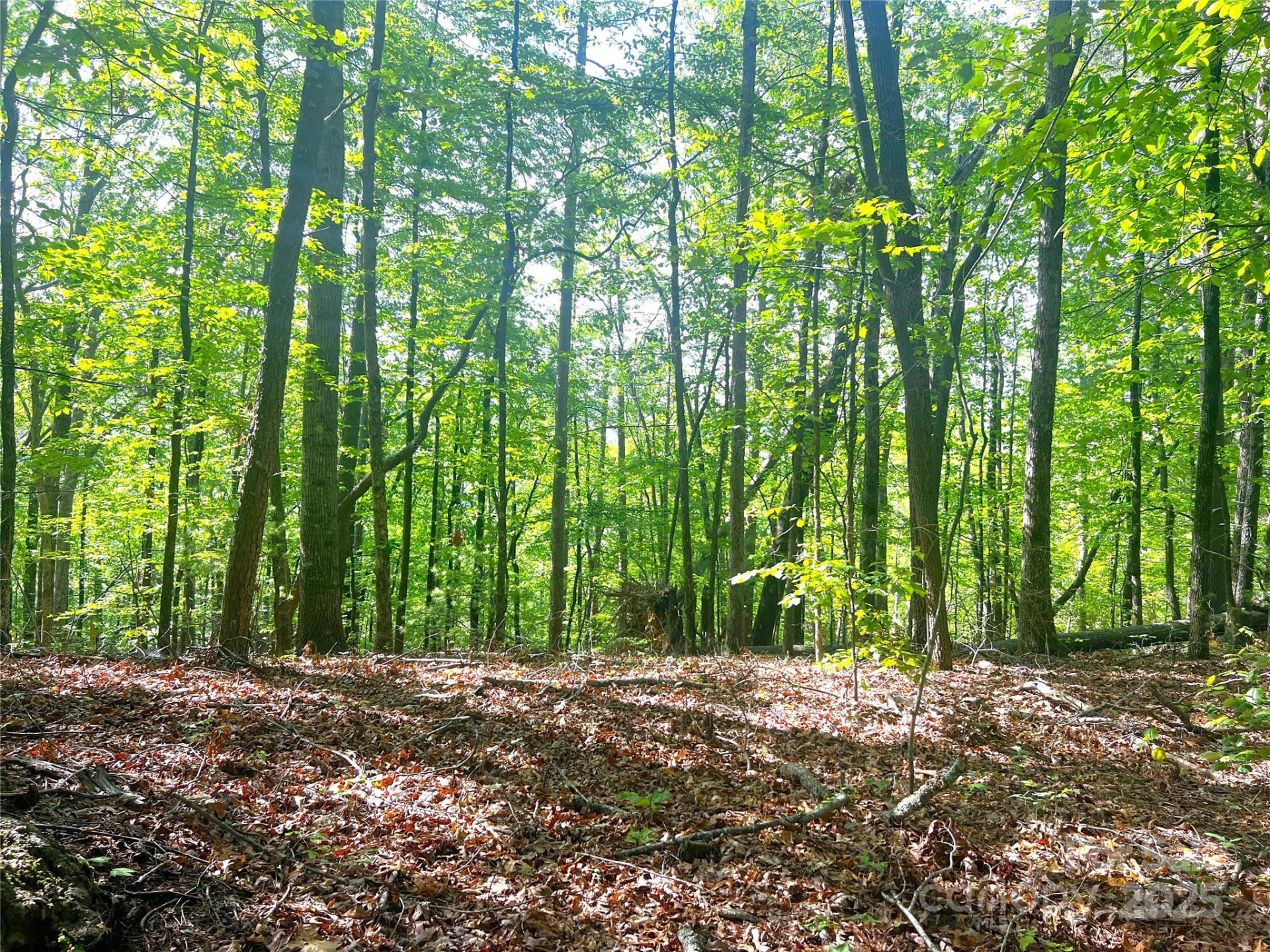 Lot 16 Arrowhead Ridge #16R - Photo 4