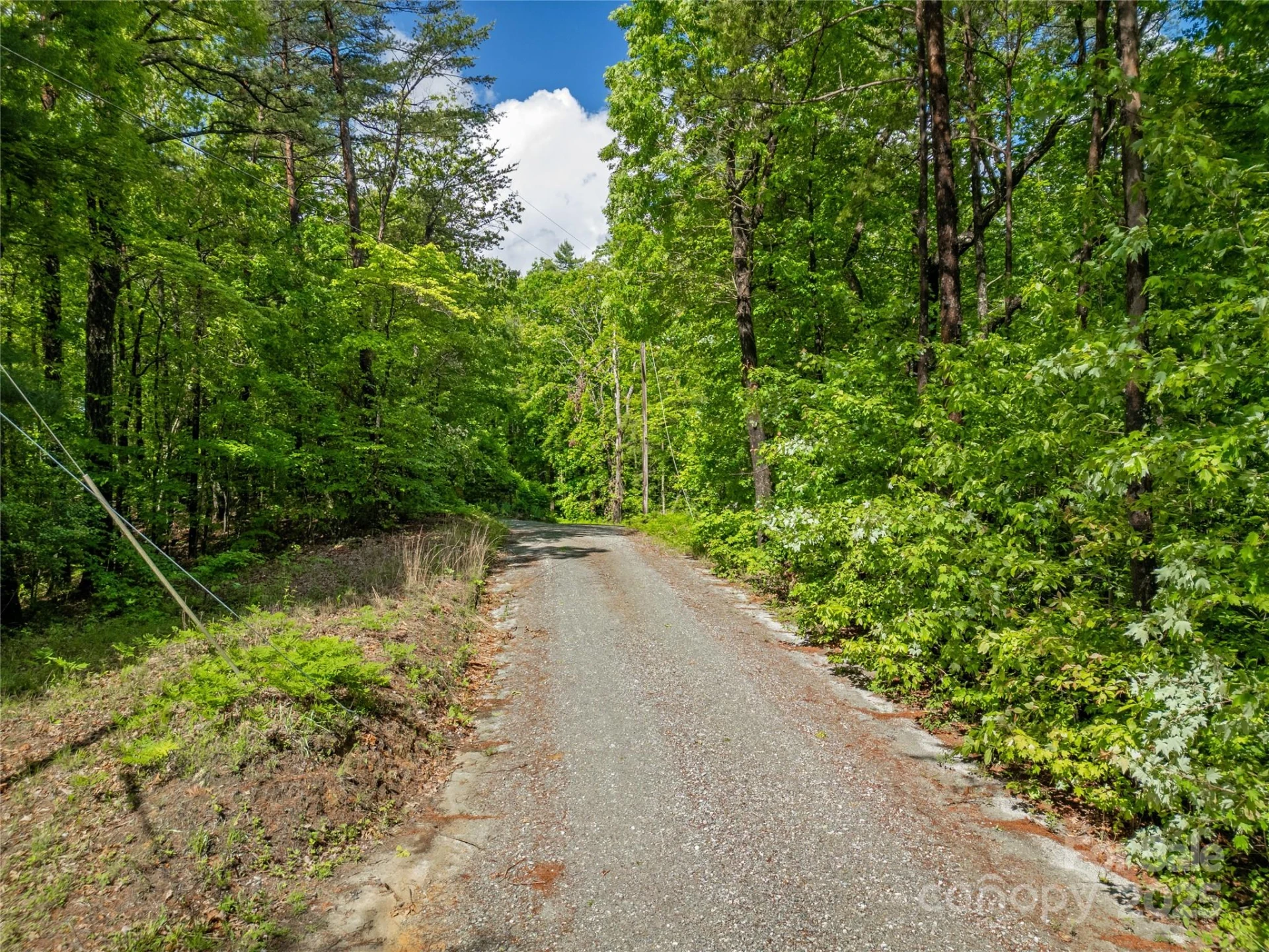 Lot 16 Arrowhead Ridge #16R - Photo 6