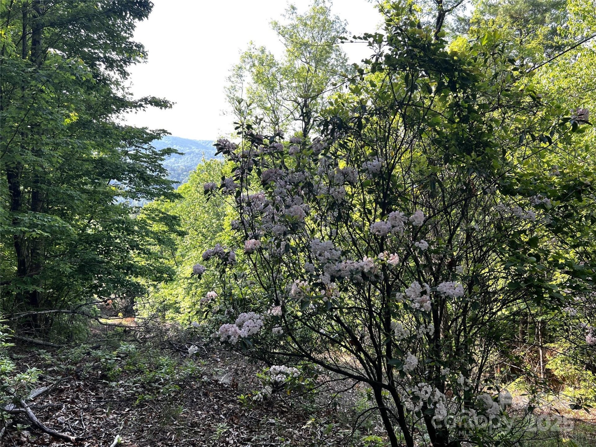 Lot 16 Arrowhead Ridge #16R - Photo 8