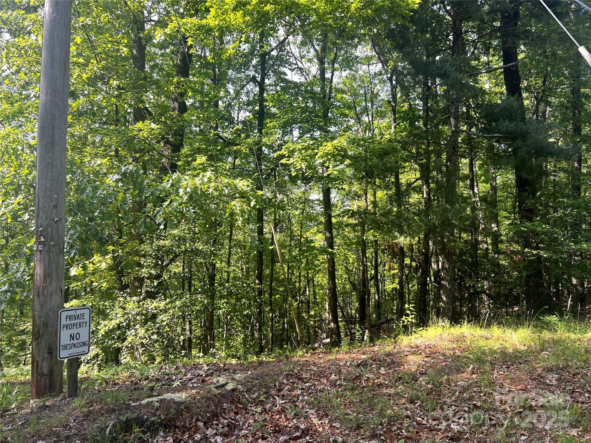 Lot 16 Arrowhead Ridge #16R - Photo 9