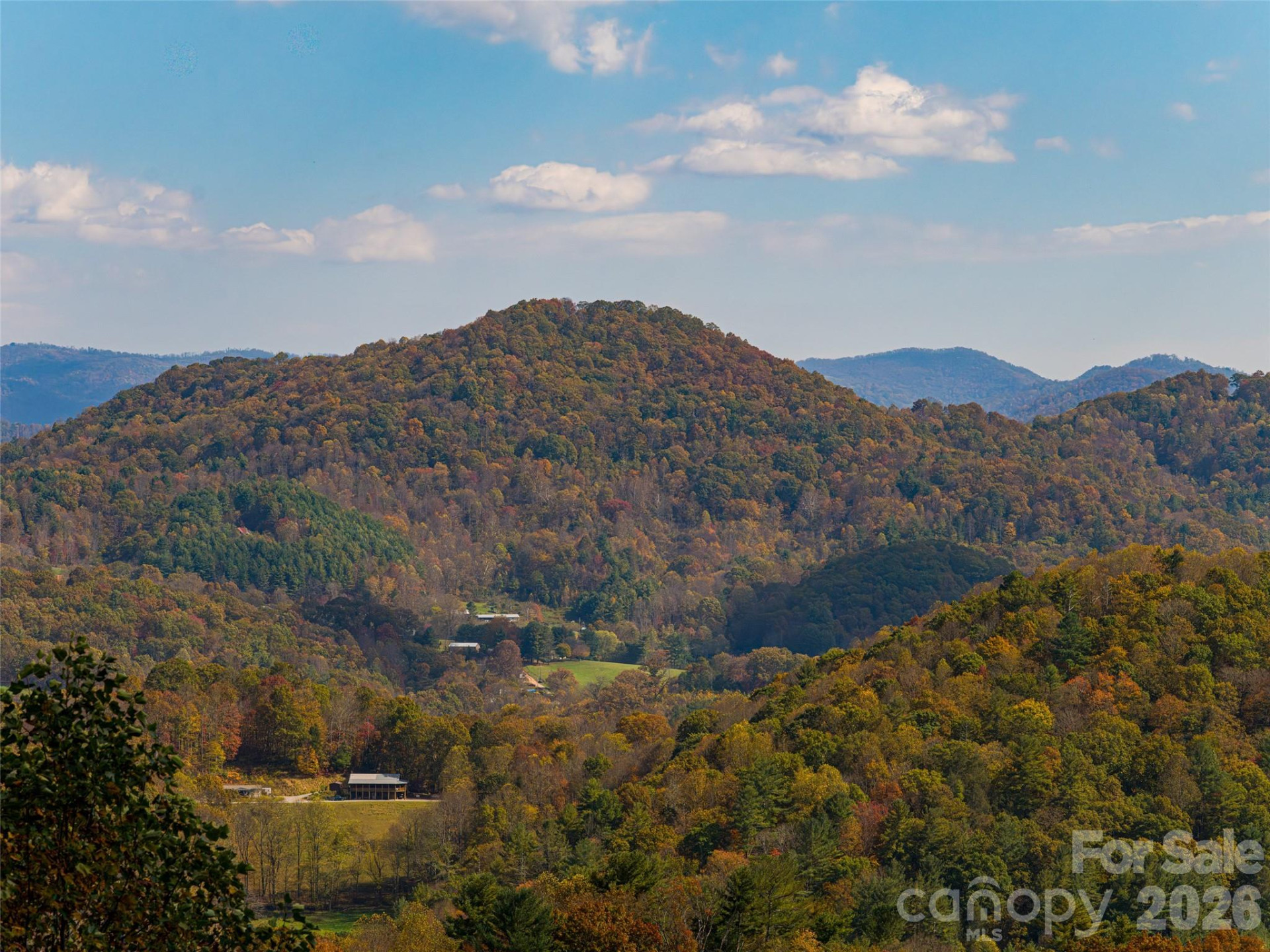 234 Historic Oak Trail - Photo 19