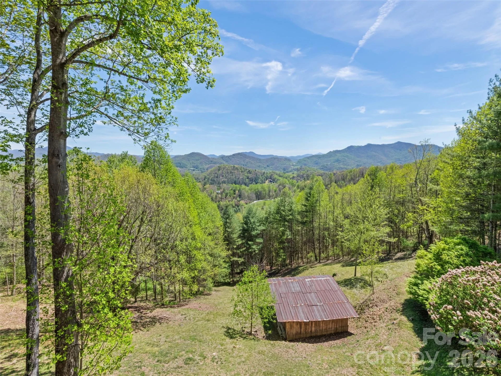 234 Historic Oak Trail - Photo 6