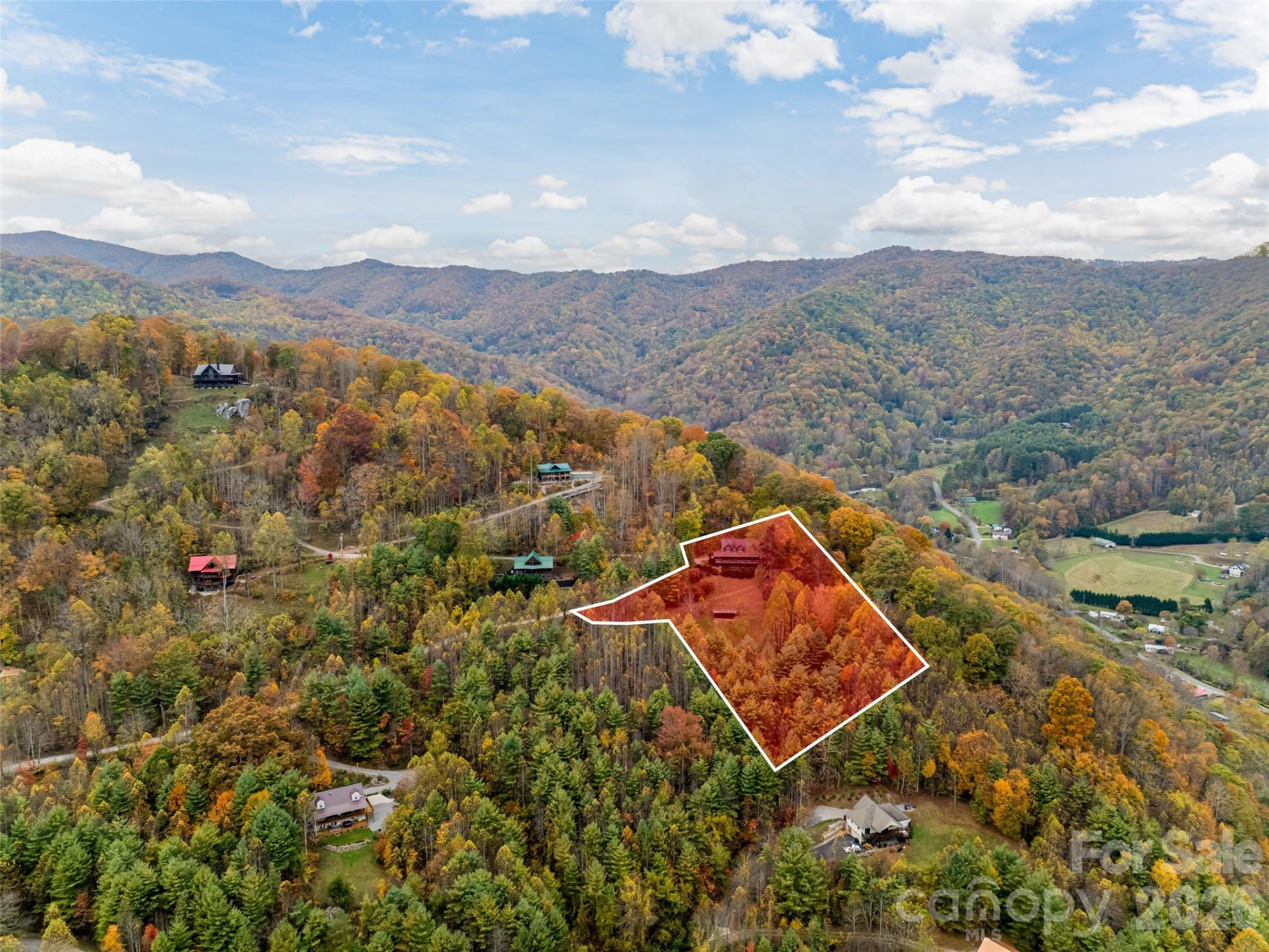 234 Historic Oak Trail - Photo 39