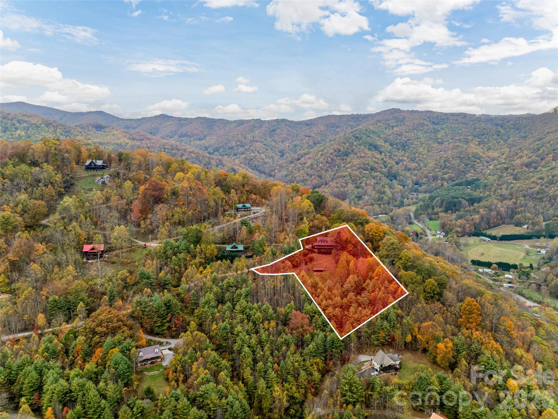 234 Historic Oak Trail - Photo 45