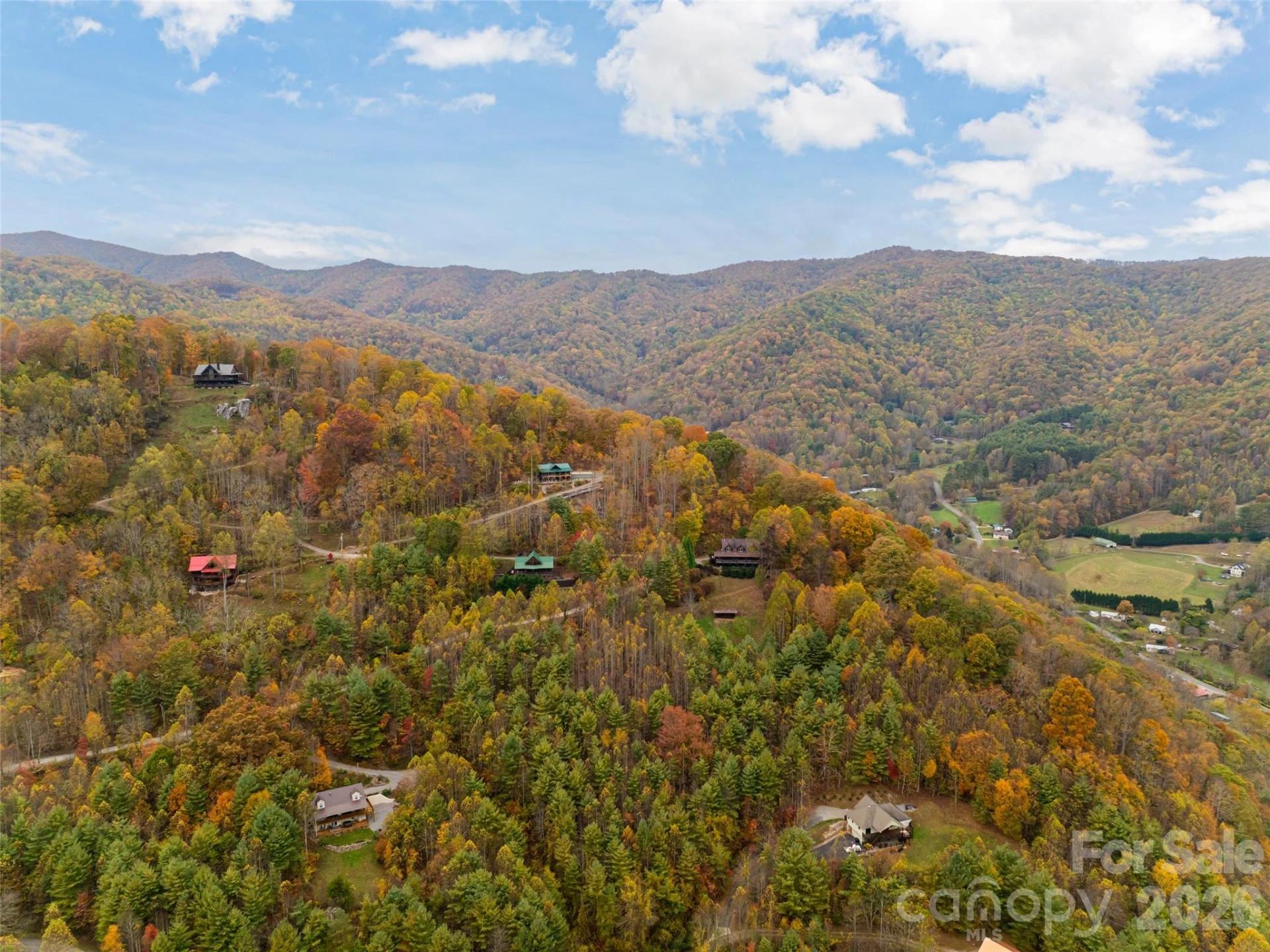 234 Historic Oak Trail - Photo 48