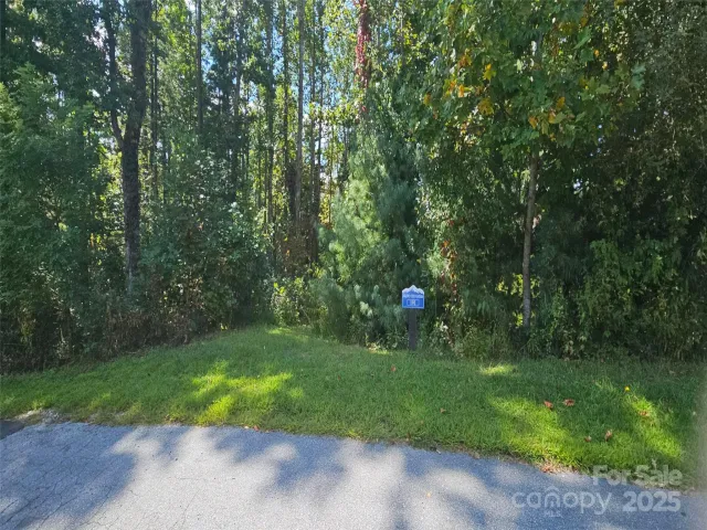 00 Bearwallow Mountain Drive