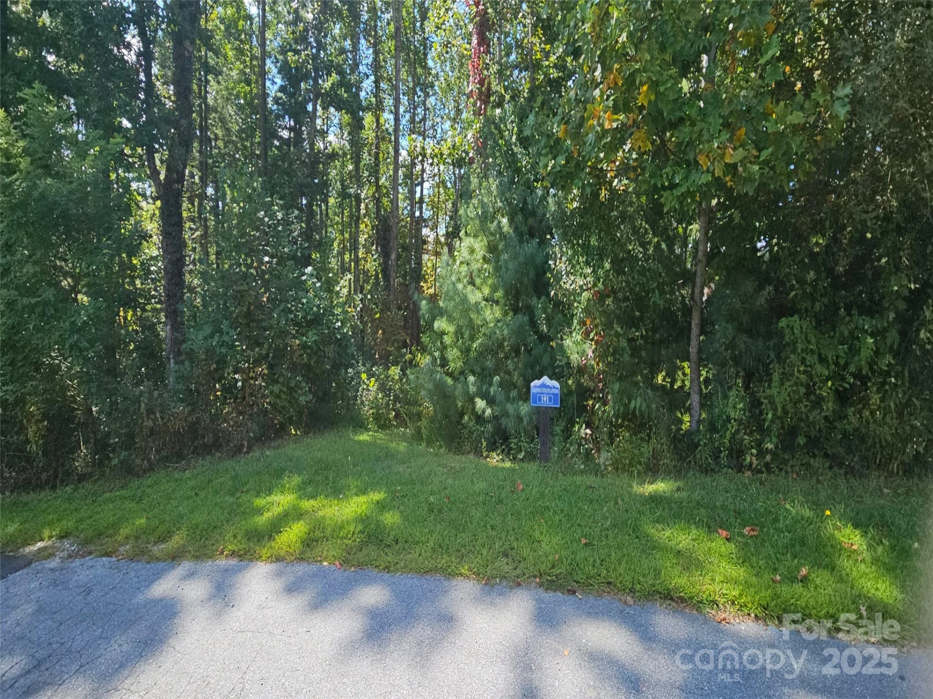 00 Bearwallow Mountain Drive #191