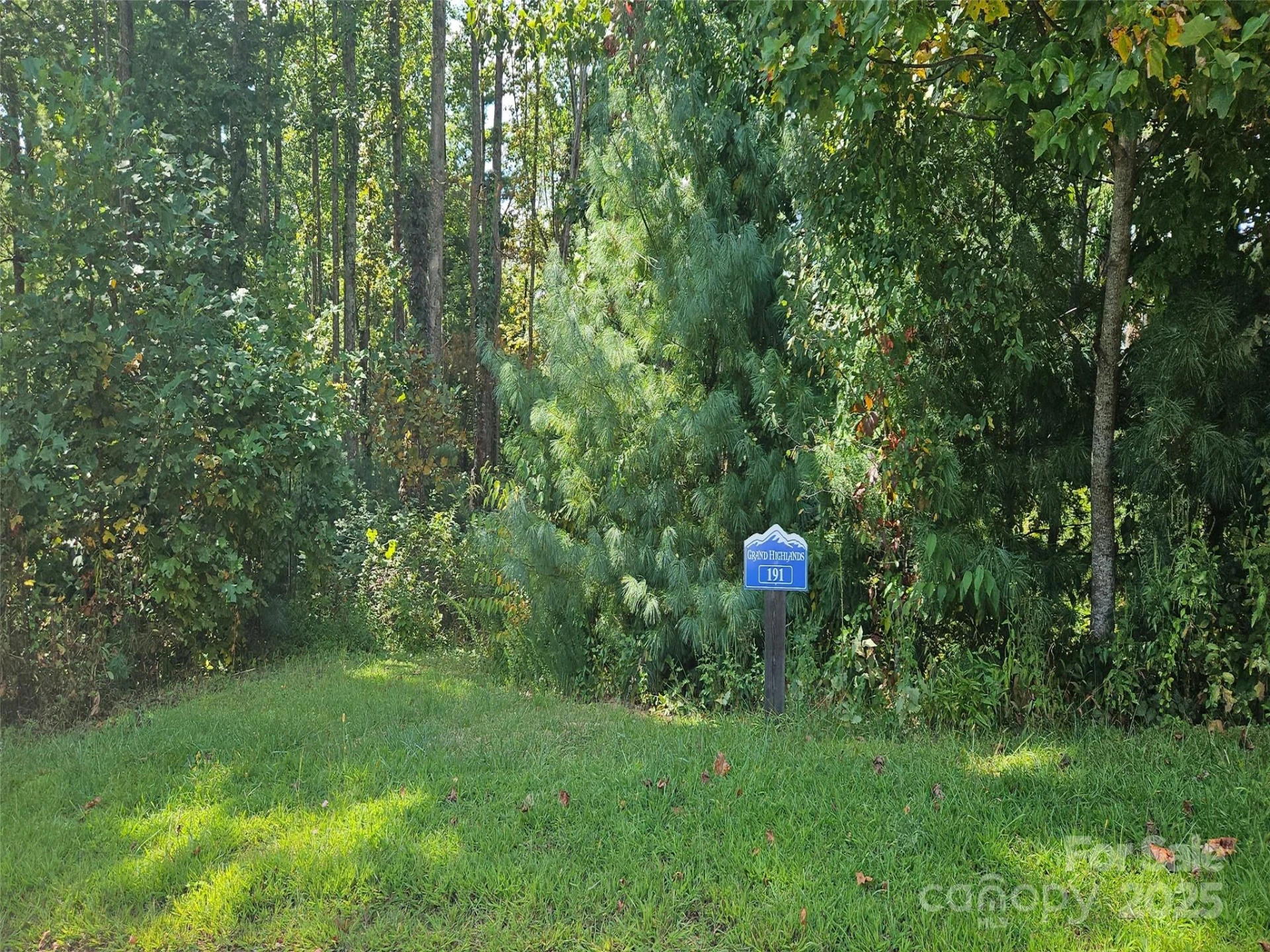00 Bearwallow Mountain Drive #191 - Photo 5