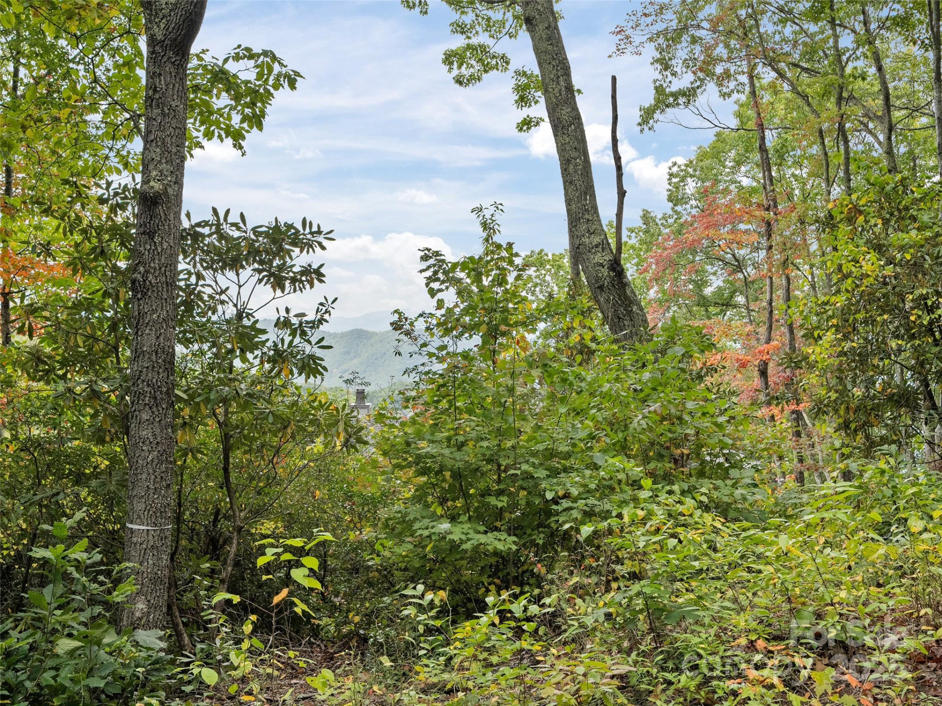 621 Macallan Drive #320 - Photo 11