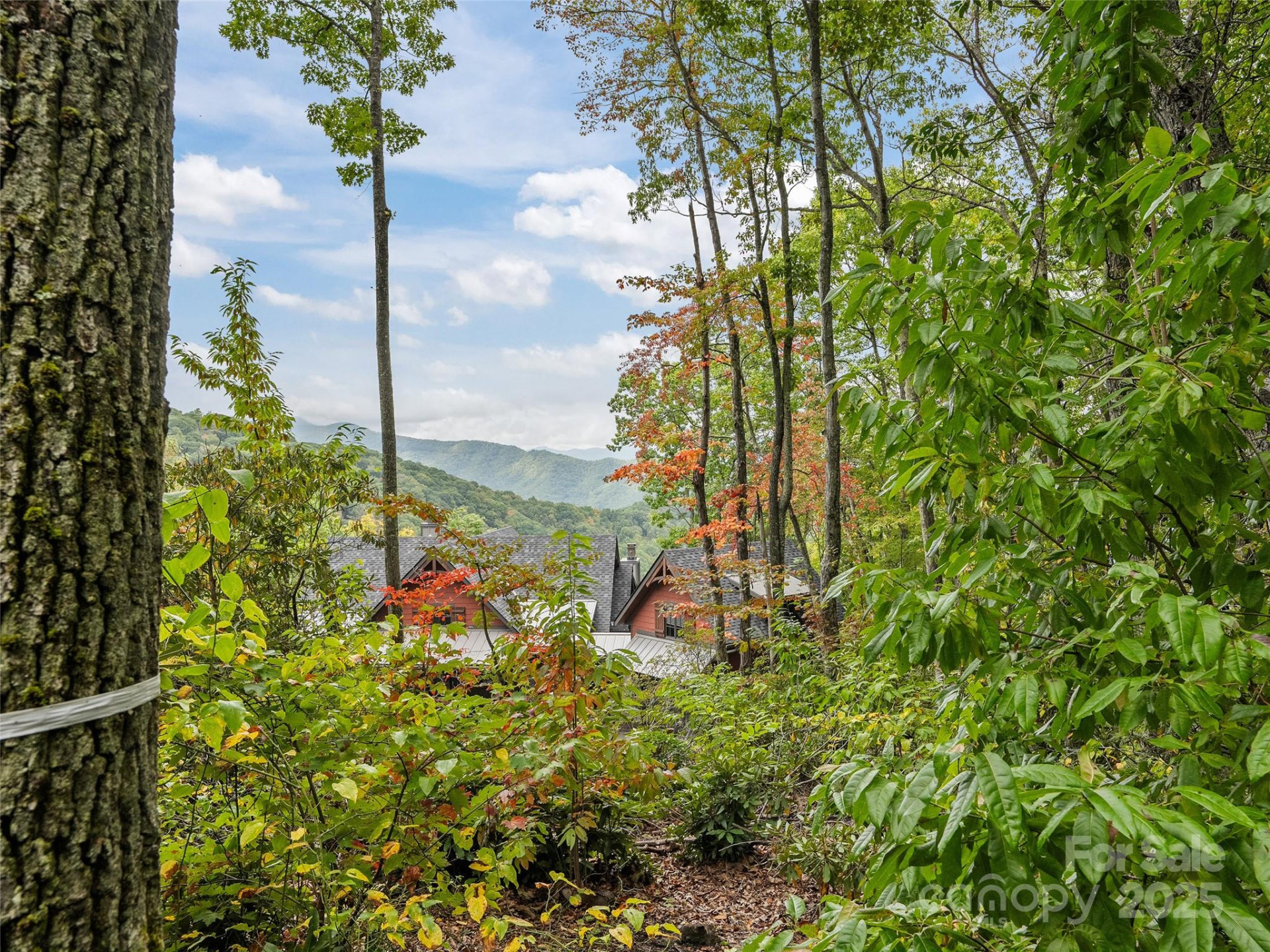 621 Macallan Drive #320 - Photo 12