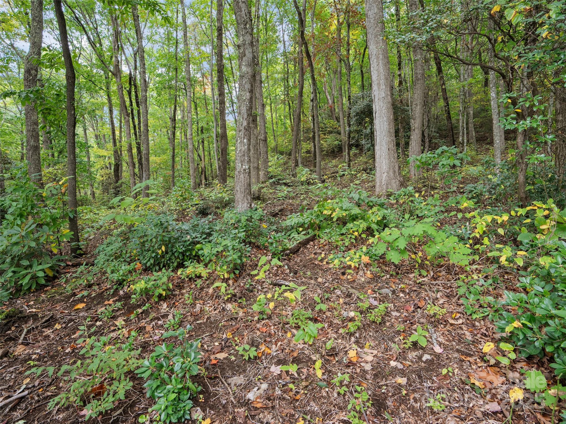 621 Macallan Drive #320 - Photo 13