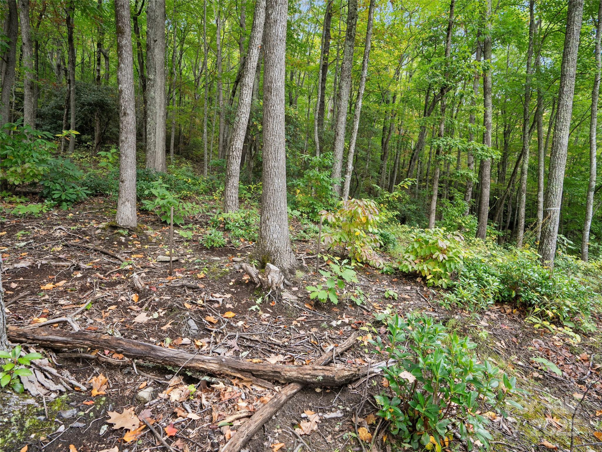 621 Macallan Drive #320 - Photo 14