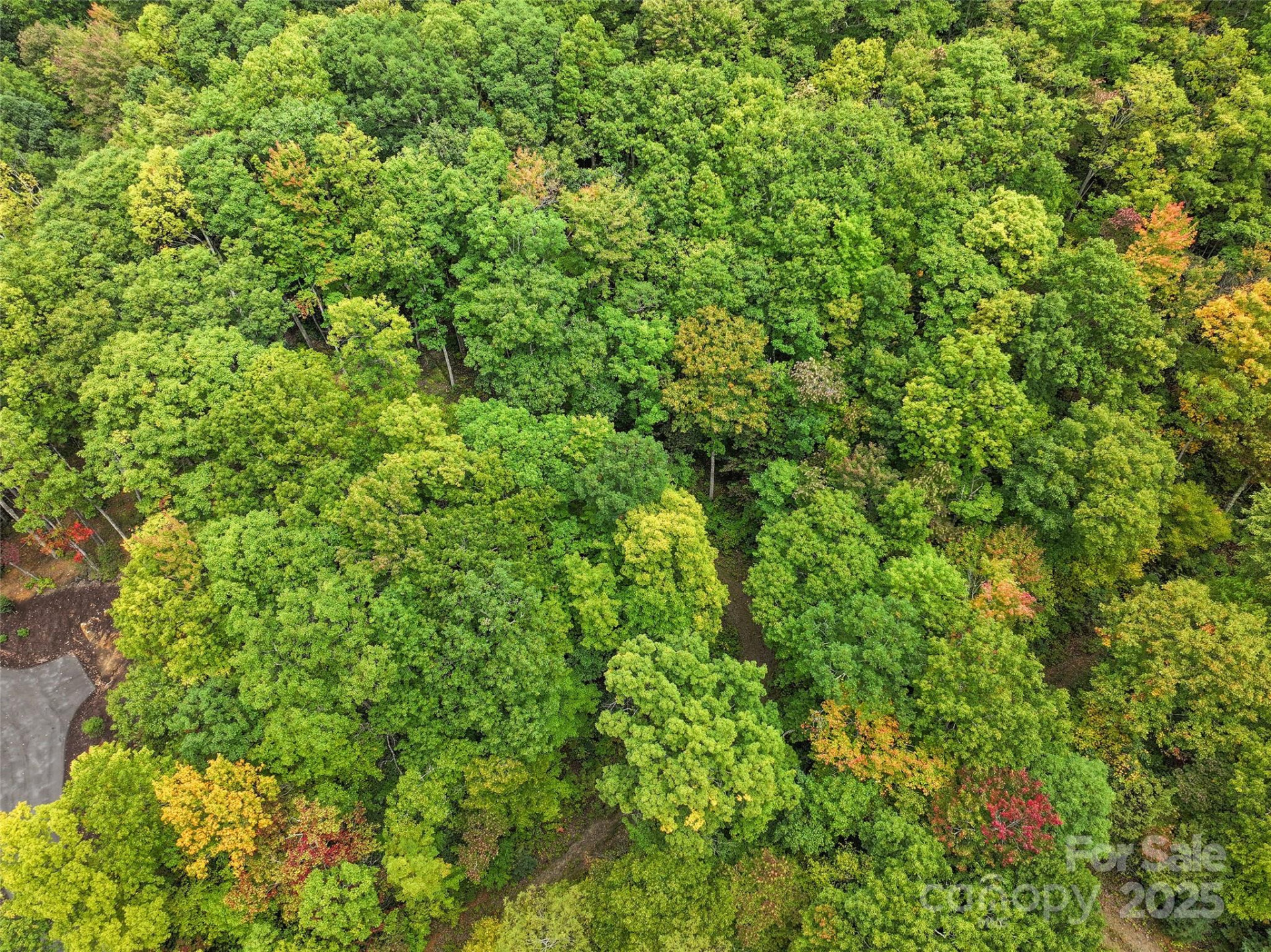 621 Macallan Drive #320 - Photo 15