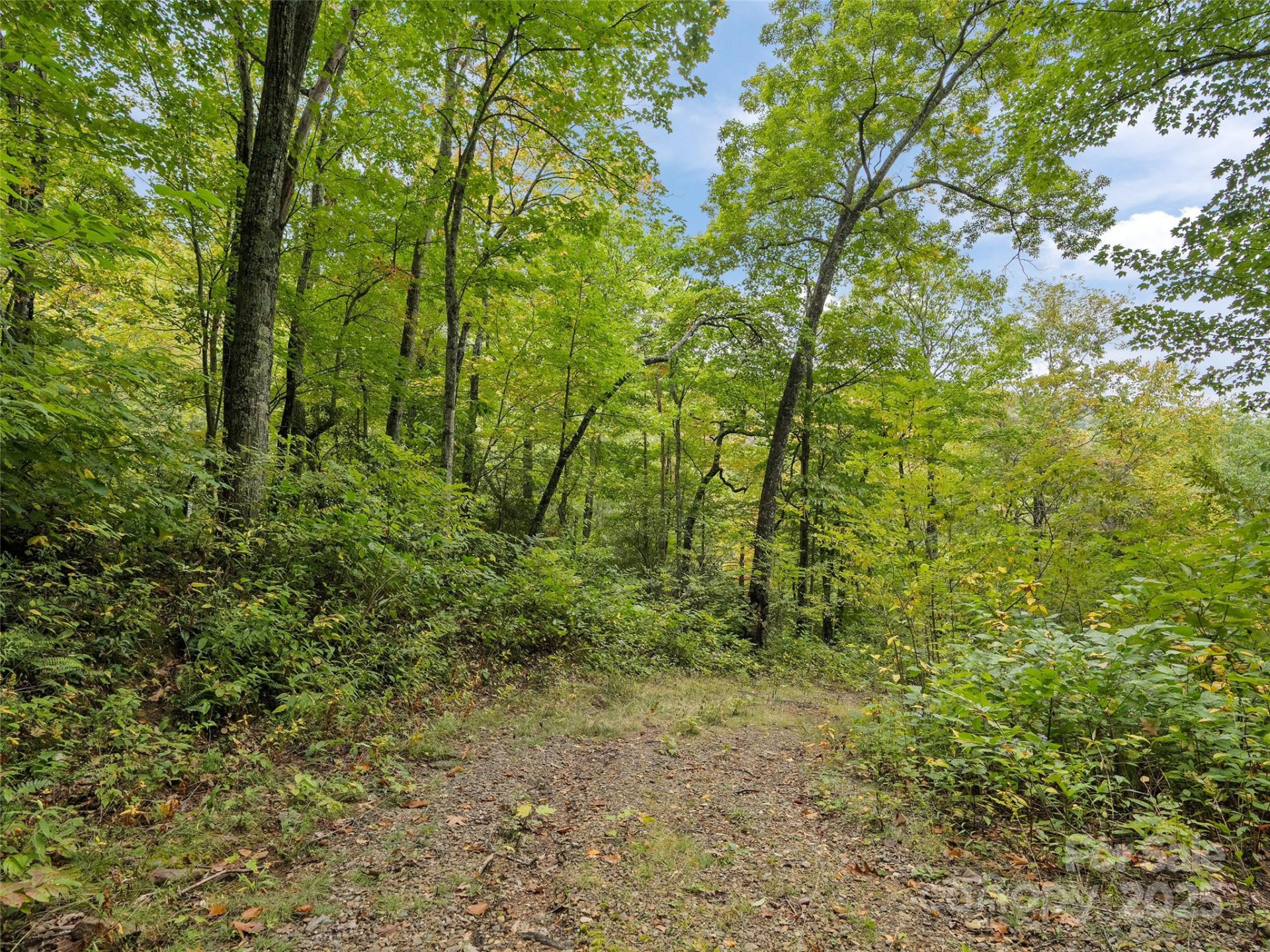 621 Macallan Drive #320 - Photo 5