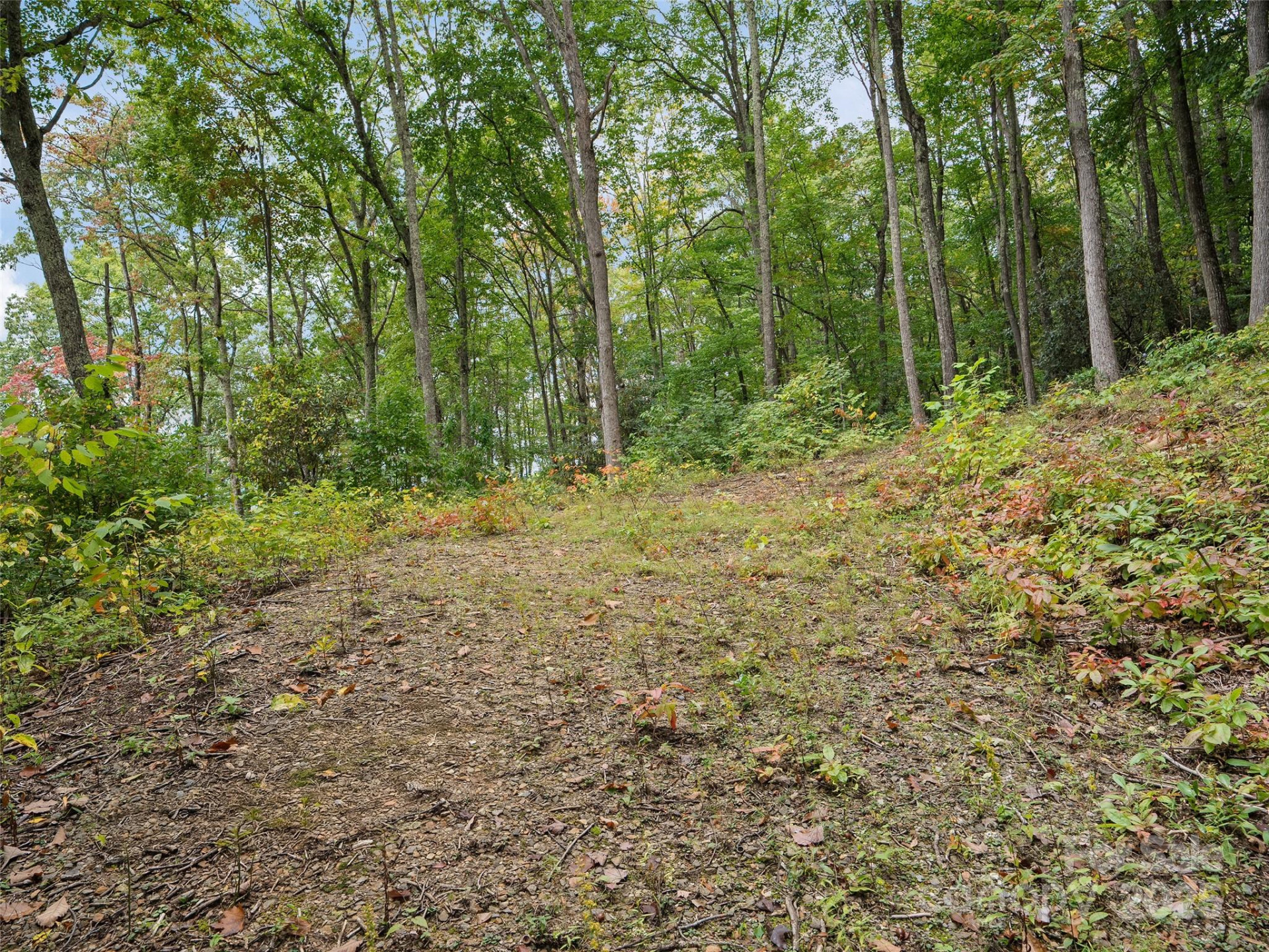 621 Macallan Drive #320 - Photo 6