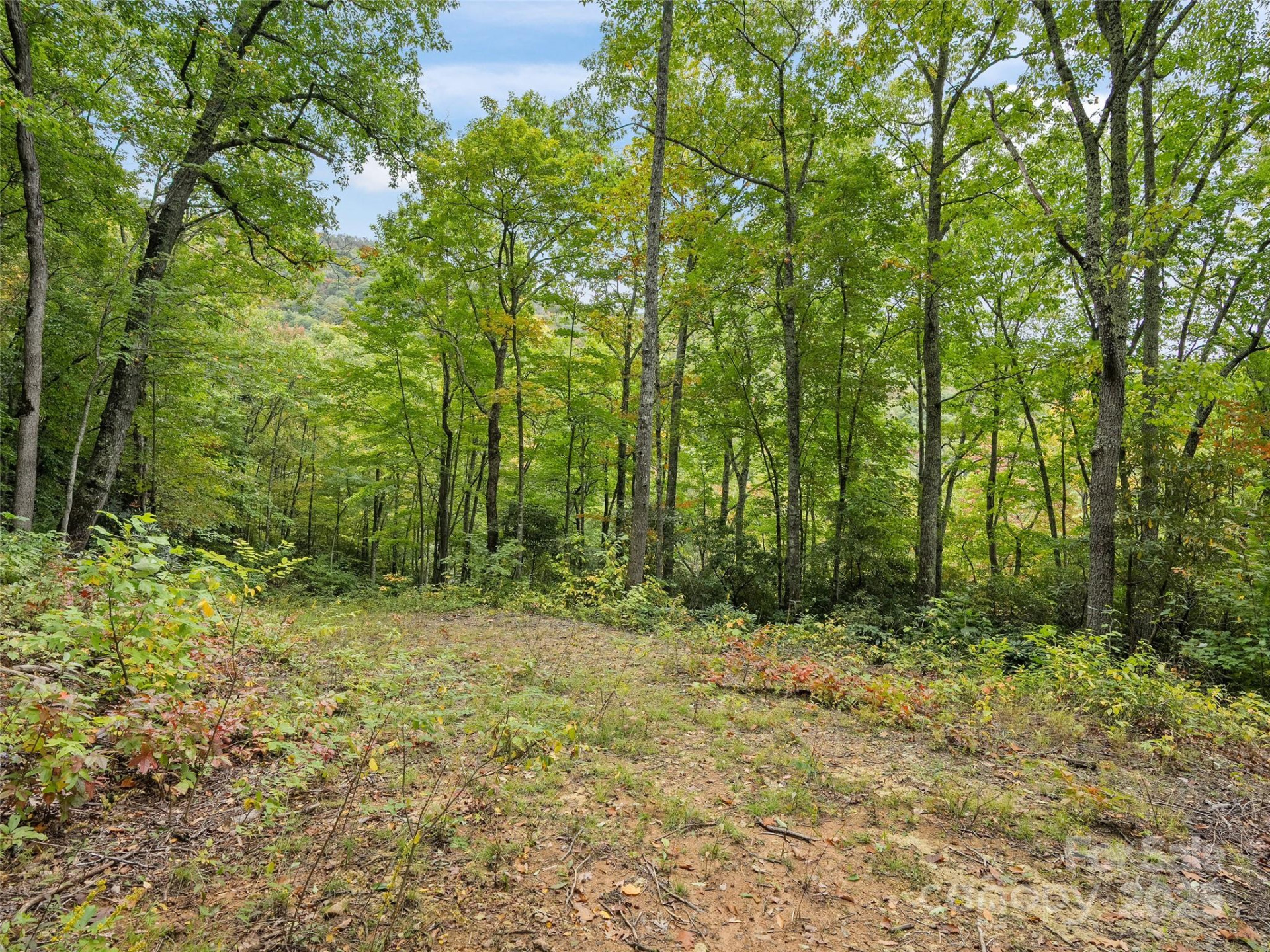 621 Macallan Drive #320 - Photo 7