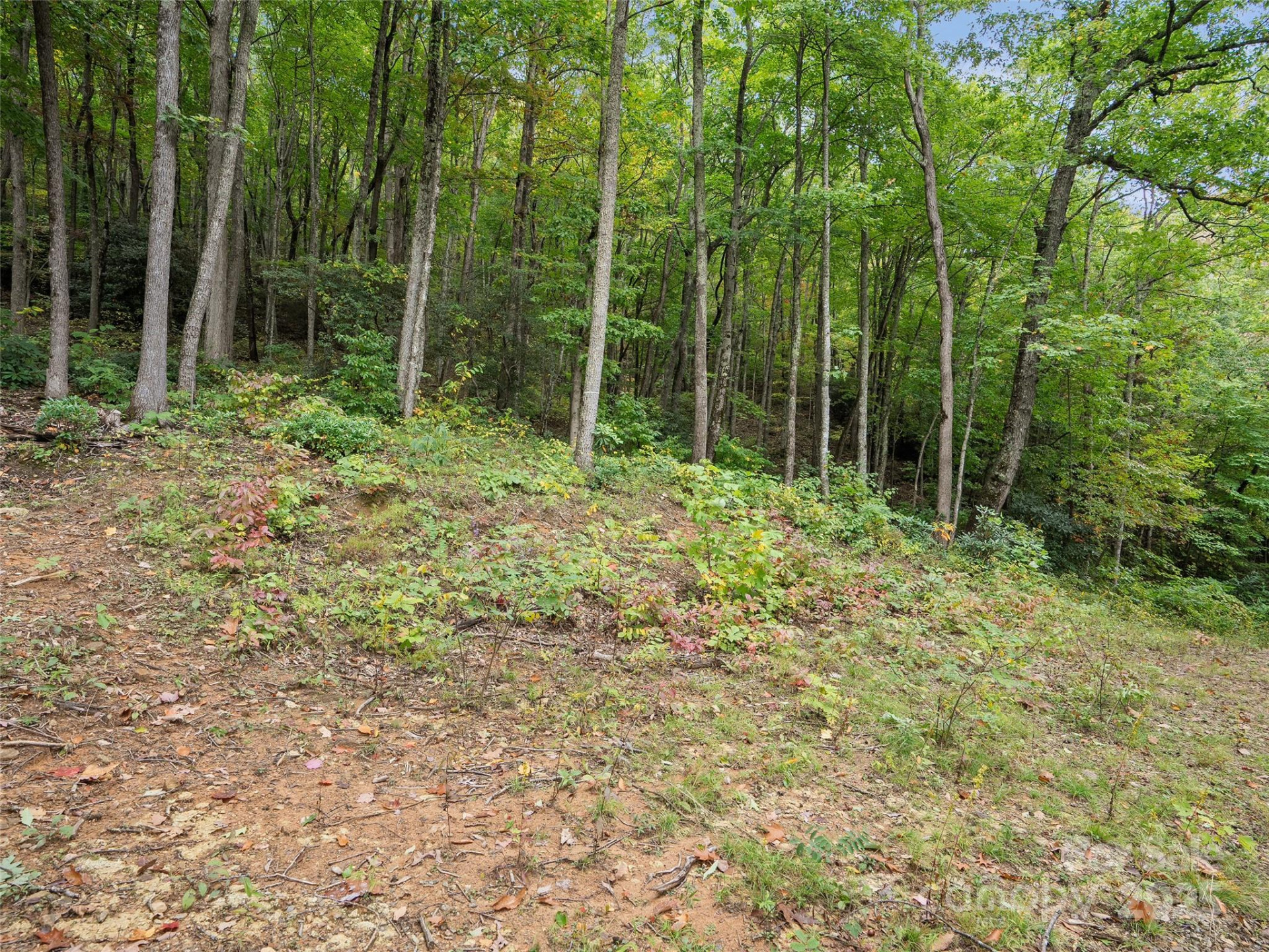 621 Macallan Drive #320 - Photo 8