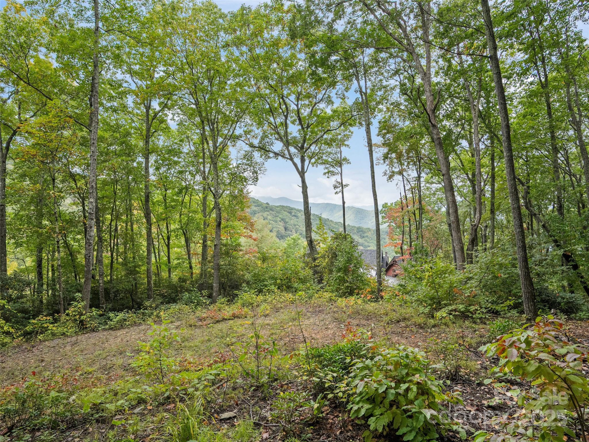 621 Macallan Drive #320 - Photo 9