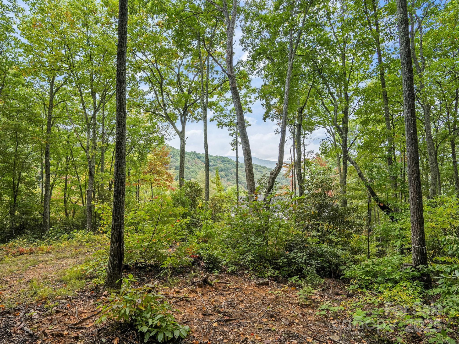 621 Macallan Drive #320 - Photo 10