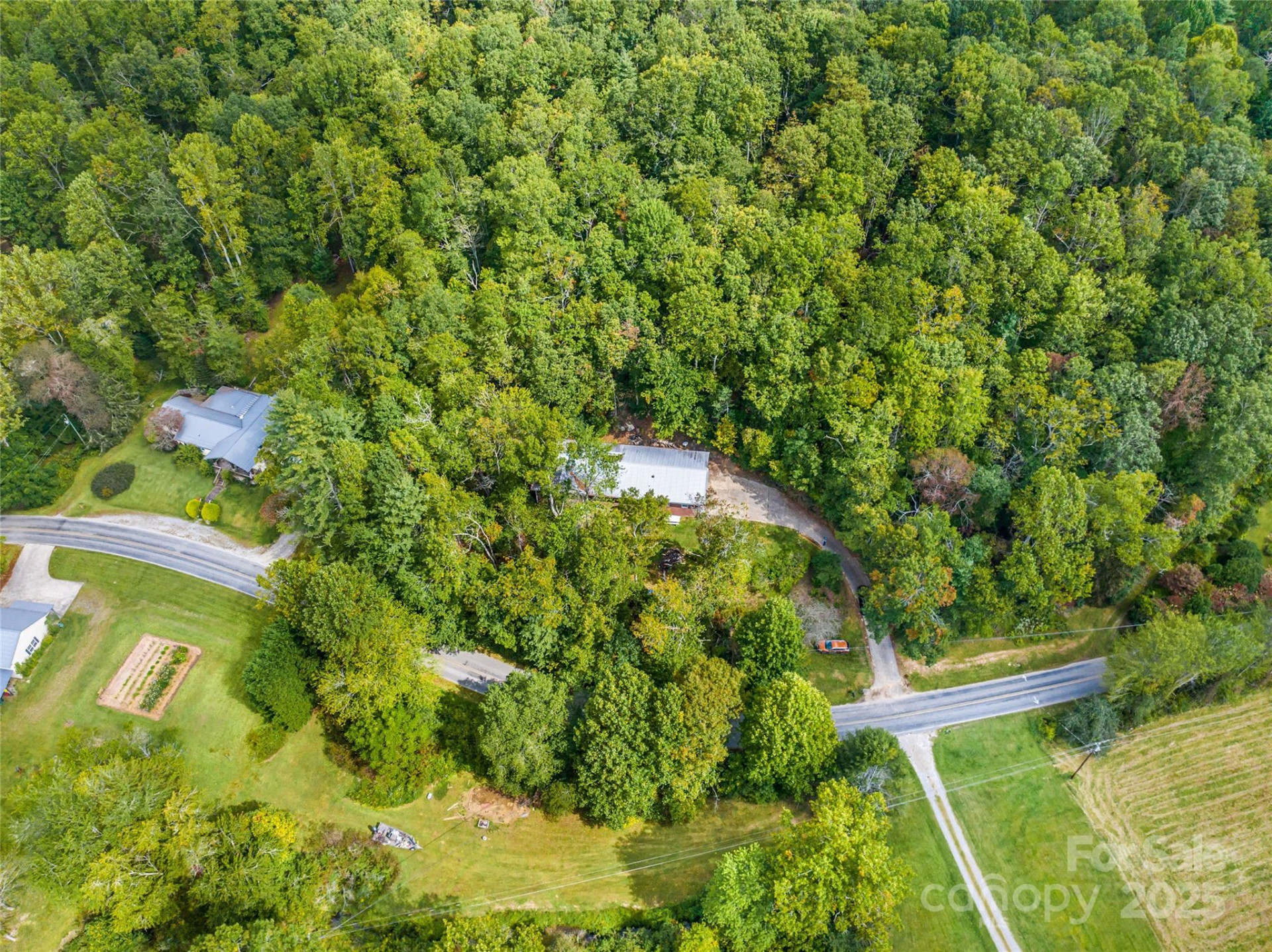679 Solomon Jones Road - Photo 4