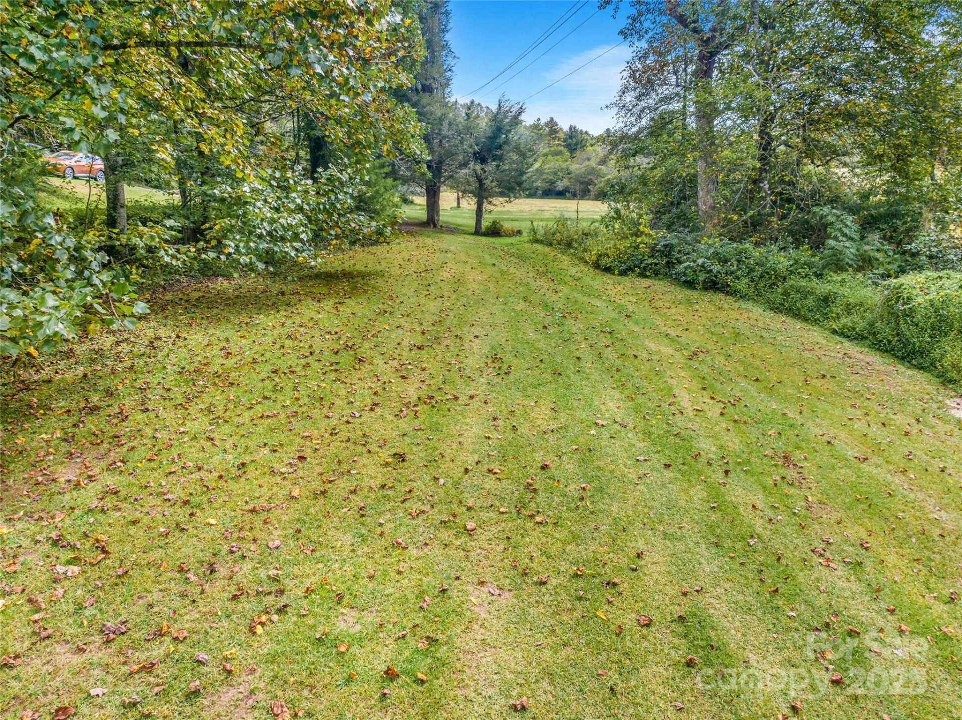 679 Solomon Jones Road - Photo 47